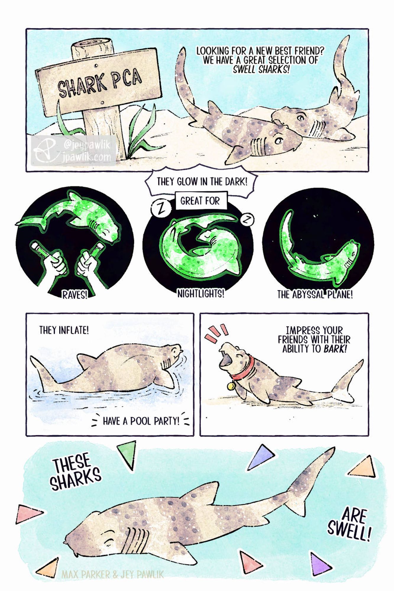 Comic about Swell Sharks. Panel one, a sign that reads "Shark PCA" with two swell sharks next to it nuzzling each other. Narration reads "Looking for a new best friend? We have a great selection of Swell Sharks!"  Panels three to five are all circular, in a row, and showing the Swell Shark glowing in the dark. Narration reads "They glow in the dark! Great for: Raves, Nightlights, The Abyssal Plane!"  Panel six, narration reads "They inflate!" and we see the Swell shark sitting on top of the water all puffed up and smiling. Text reads "Have a pool party!"  Panel seven, a Swell shark wearing a dog collar and barking. Text reads "Impress your friends with their ability to bark!"  Panel eight, a Swell shark smiling against a retro styled background with 90s triangles around it. Narration reads "These sharks are swell!"