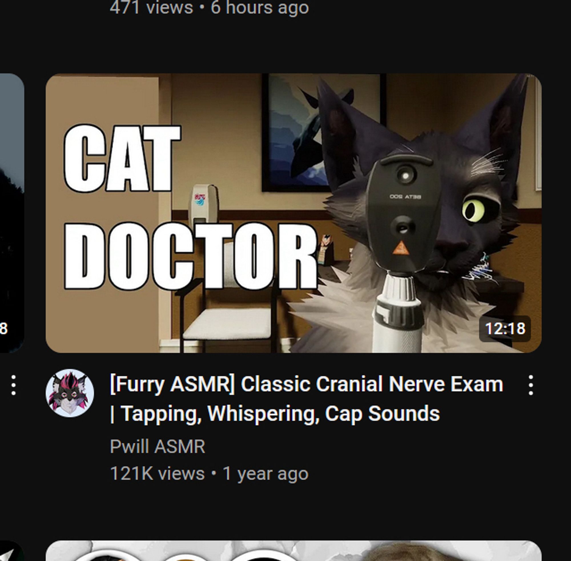 Furry ASMR classic cranial nerve exam on YouTube