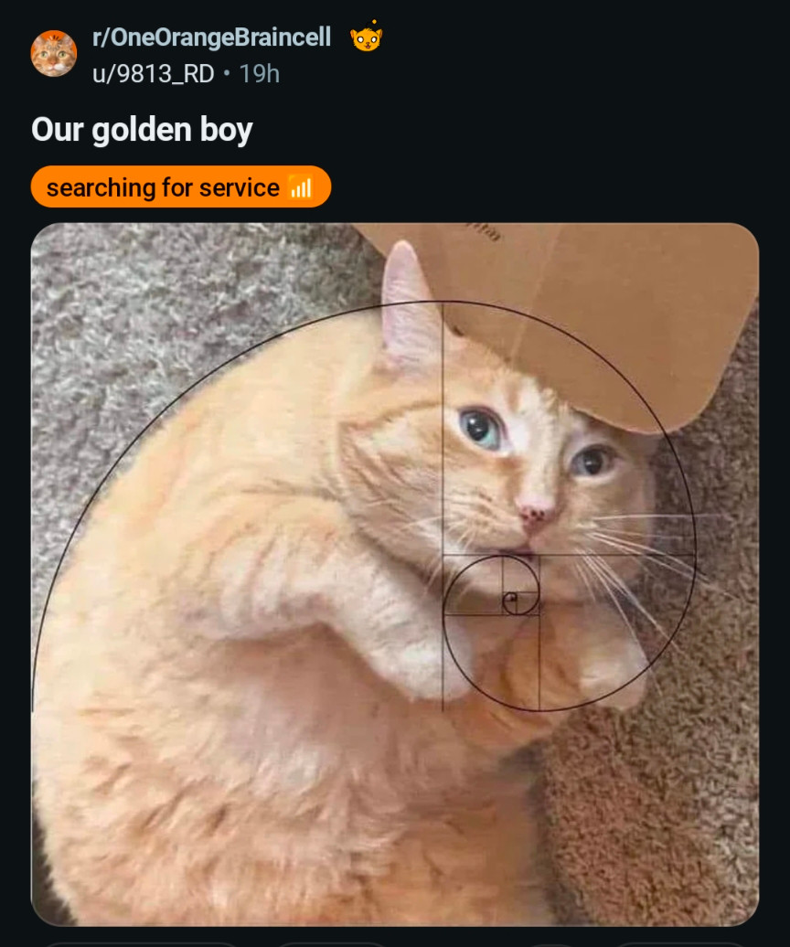 Screenshot from reddit

r/OneOrangeBraincell
u/9813_RD 19h

Title: Our golden boy
tag: searching for service 📶

Photo of an orange cat laying on a carpet. His front paws are tucked up by his face. He has a slightly derpy expression. There's a piece of cardboard on his head. Someone has drawn the golden ratio spiral over him and it fits really, really well