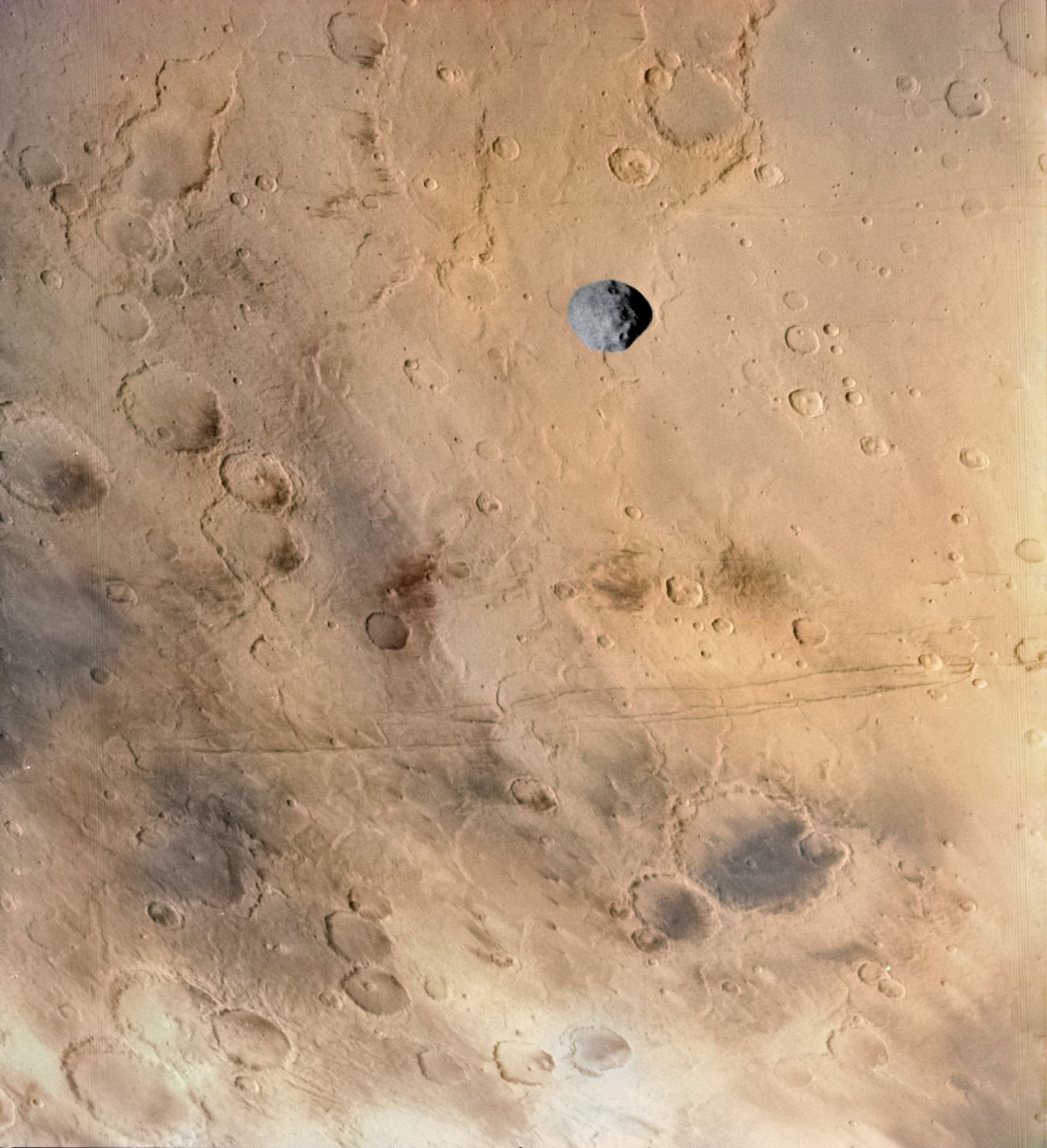 An image of Phobos taken from orbit in 1977 by NASA Viking orbiter 1. The surface of Mars is rusty red and full of craters, Phobos is pretty grey and its craters are visible too. North is up and the visible region is called Terra Sirenum, just below the Bernard Crater.