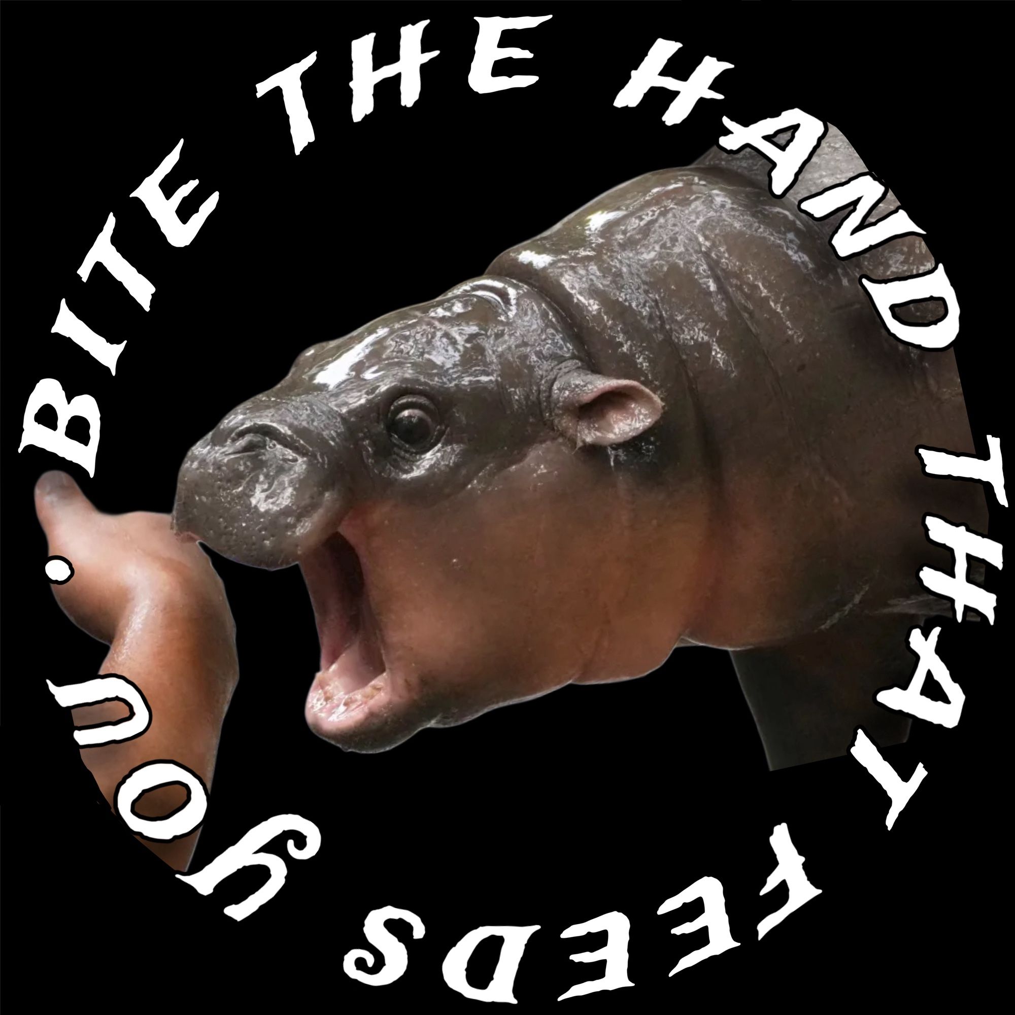 moo deng biting a hand with text that says bite the hand that feeds you