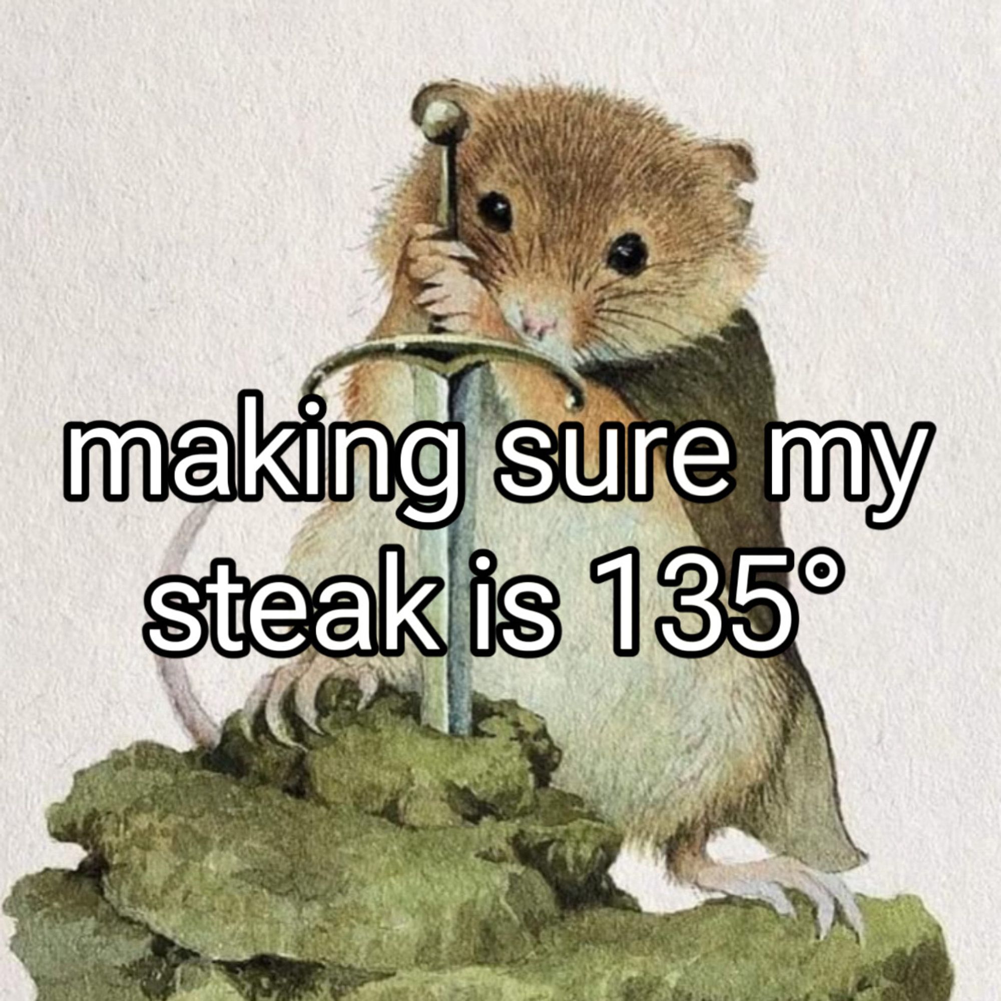 a watercolor painting of a hamster or gerbil or something pulling a sword from a stone

text: making sure my steak is 135 degrees