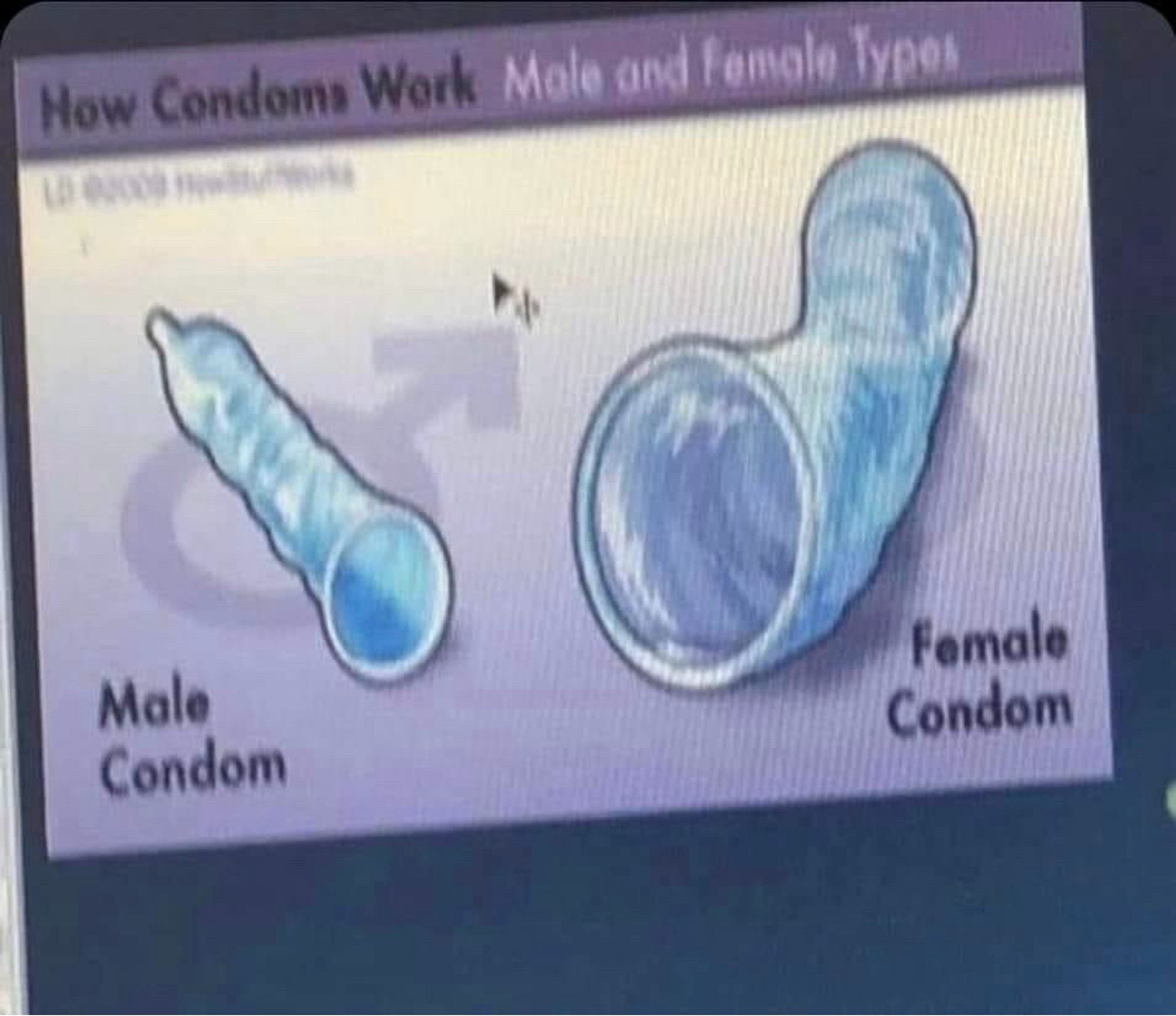 An image showing a male condom and a female condom, the female condom appears significantly larger