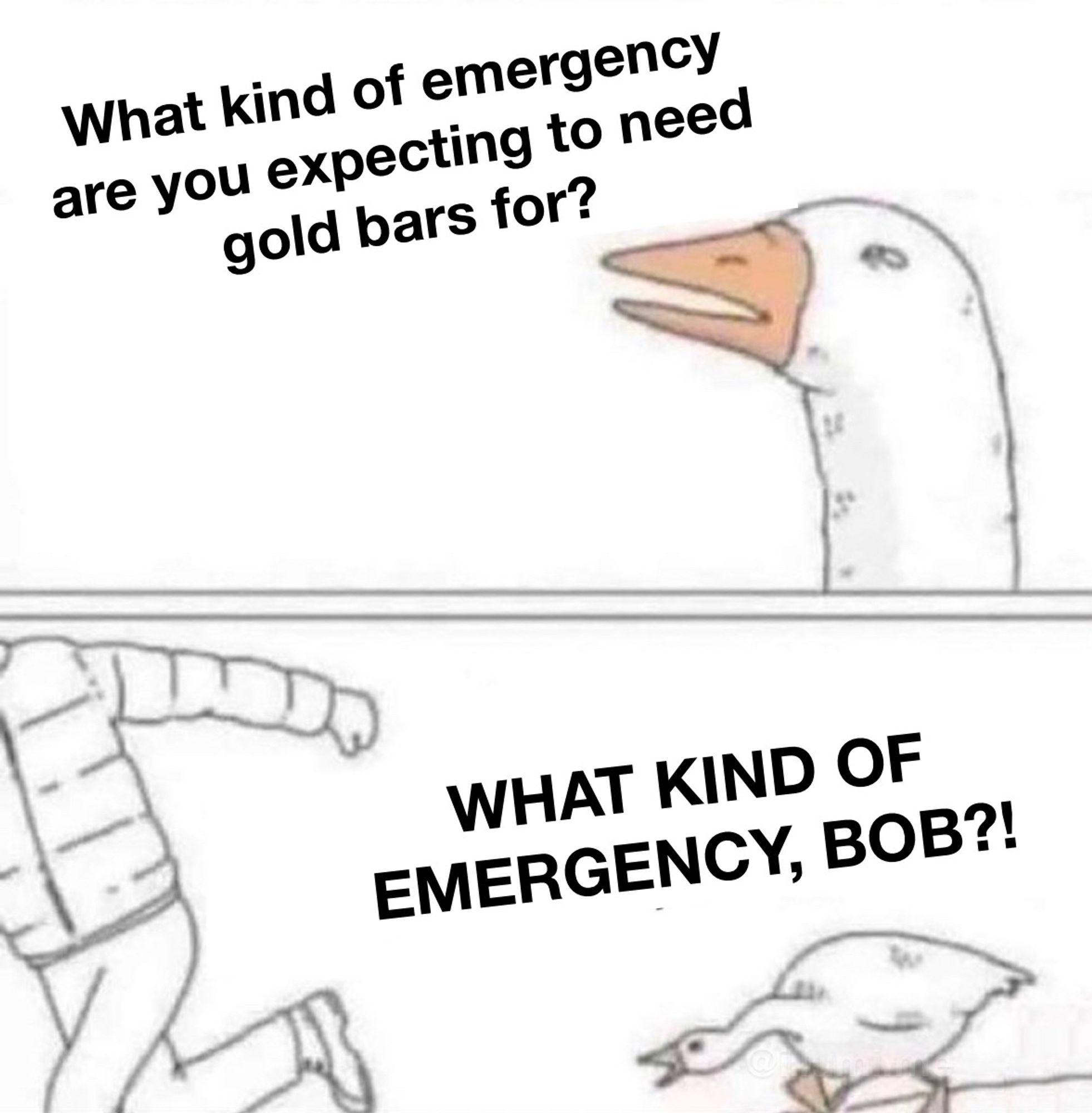 A goose asking what kind of emergency are you expecting to need gold bars for?

WHAT KIND OF EMERGENCY BOB?!