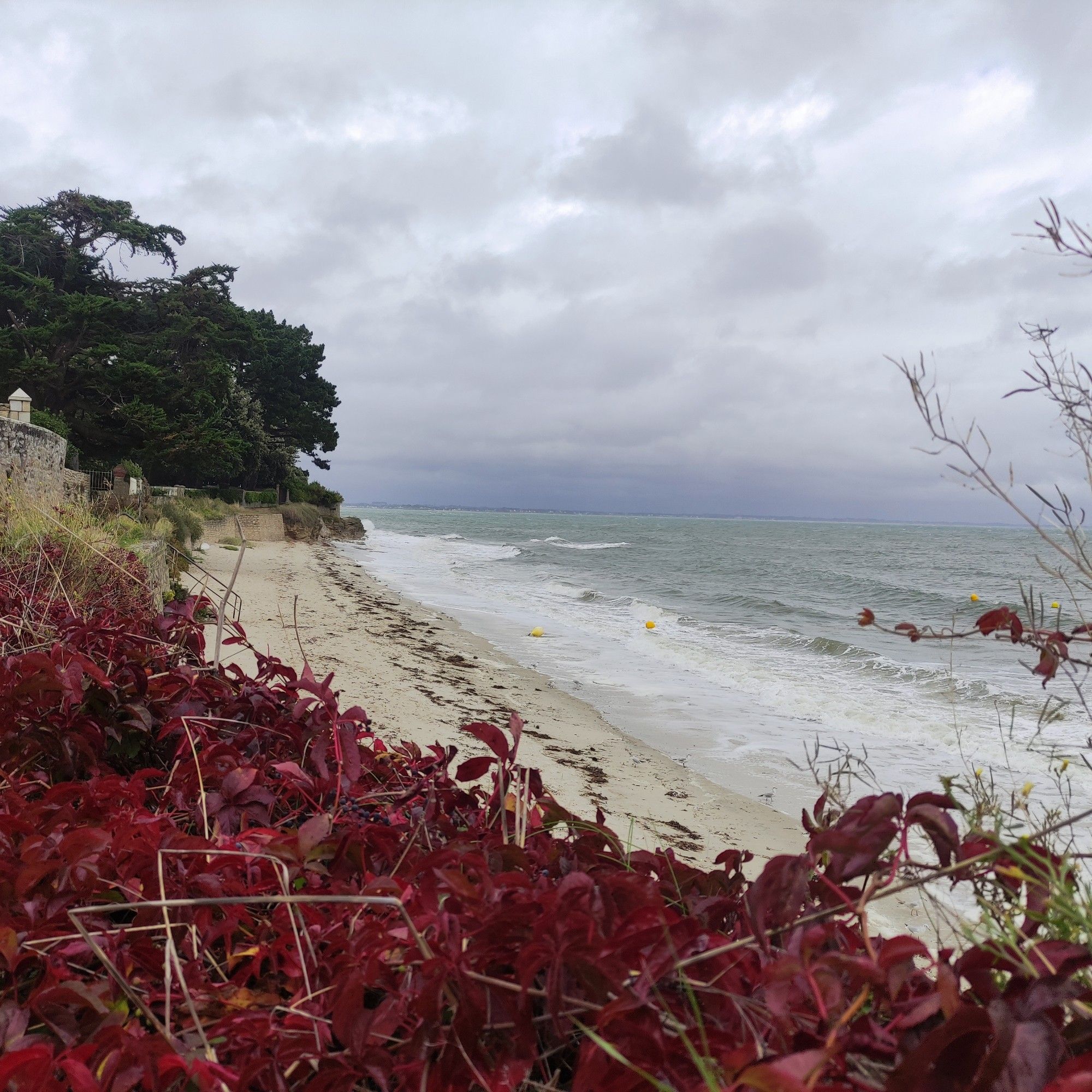 Saint pierre en automne