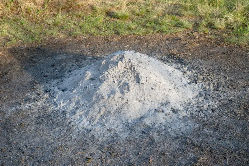 A pile of whitish ash