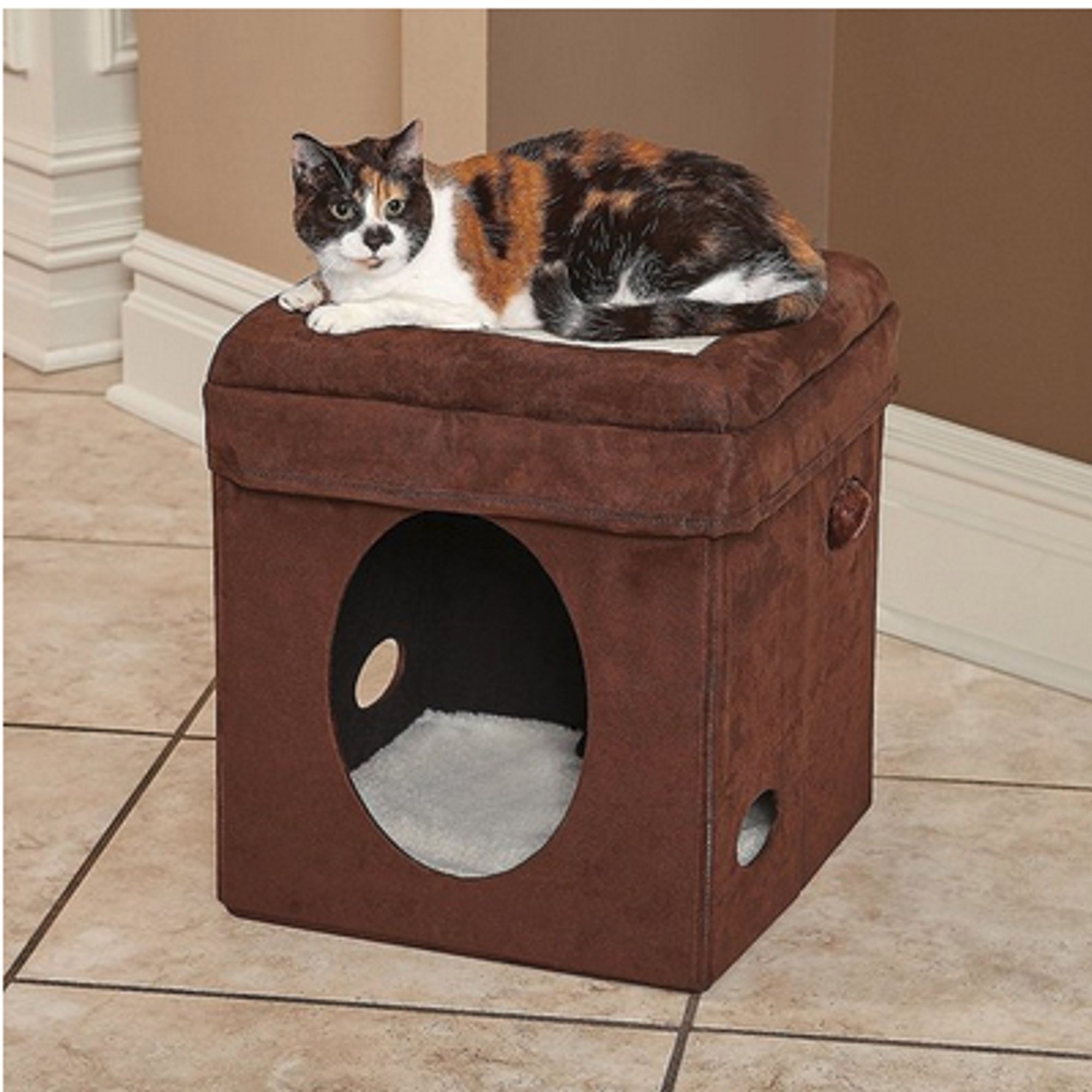 calico laying on top of a cube that she could also crawl inside