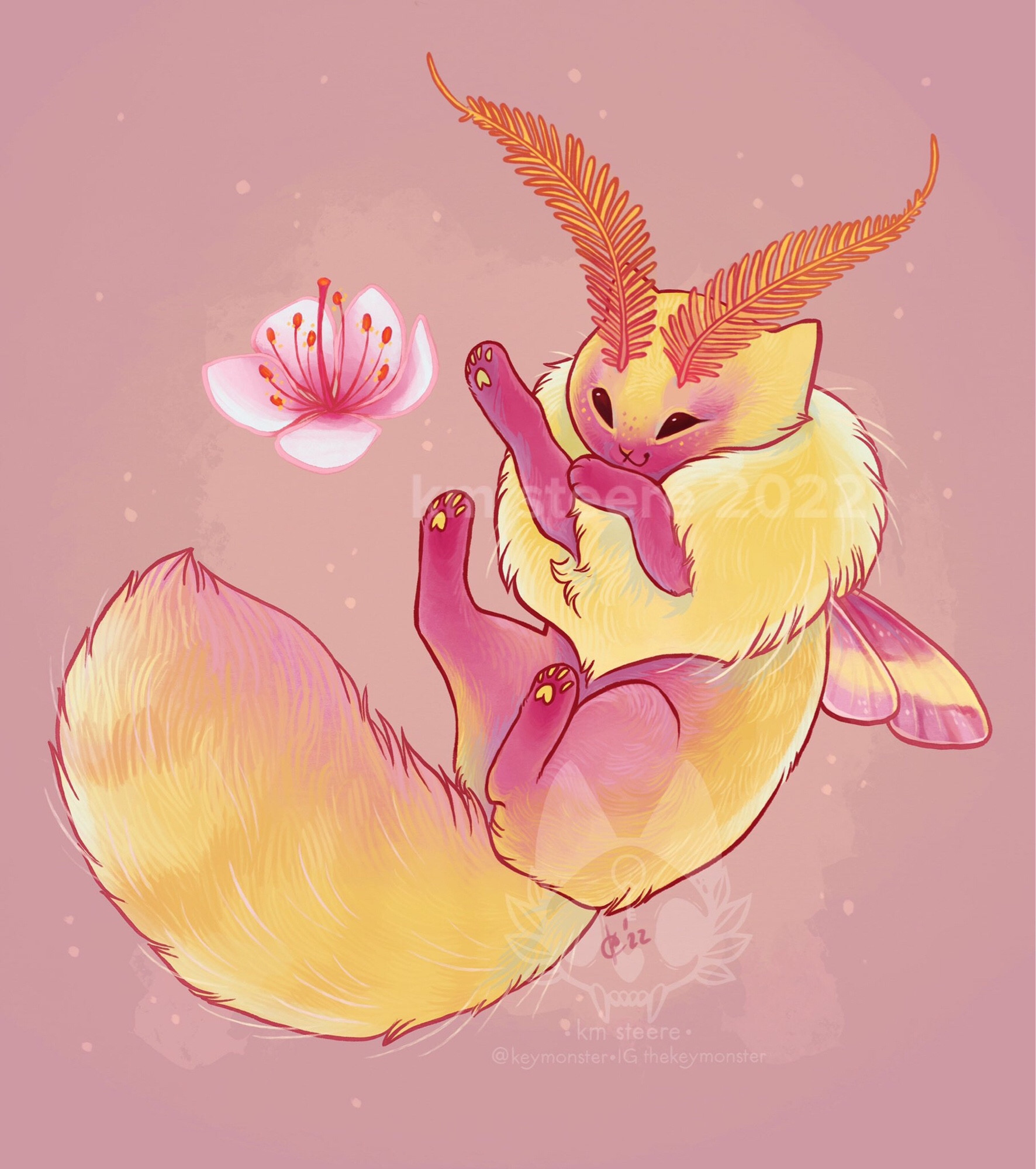 A pink and yellow moth kitten with a cherry blossom.