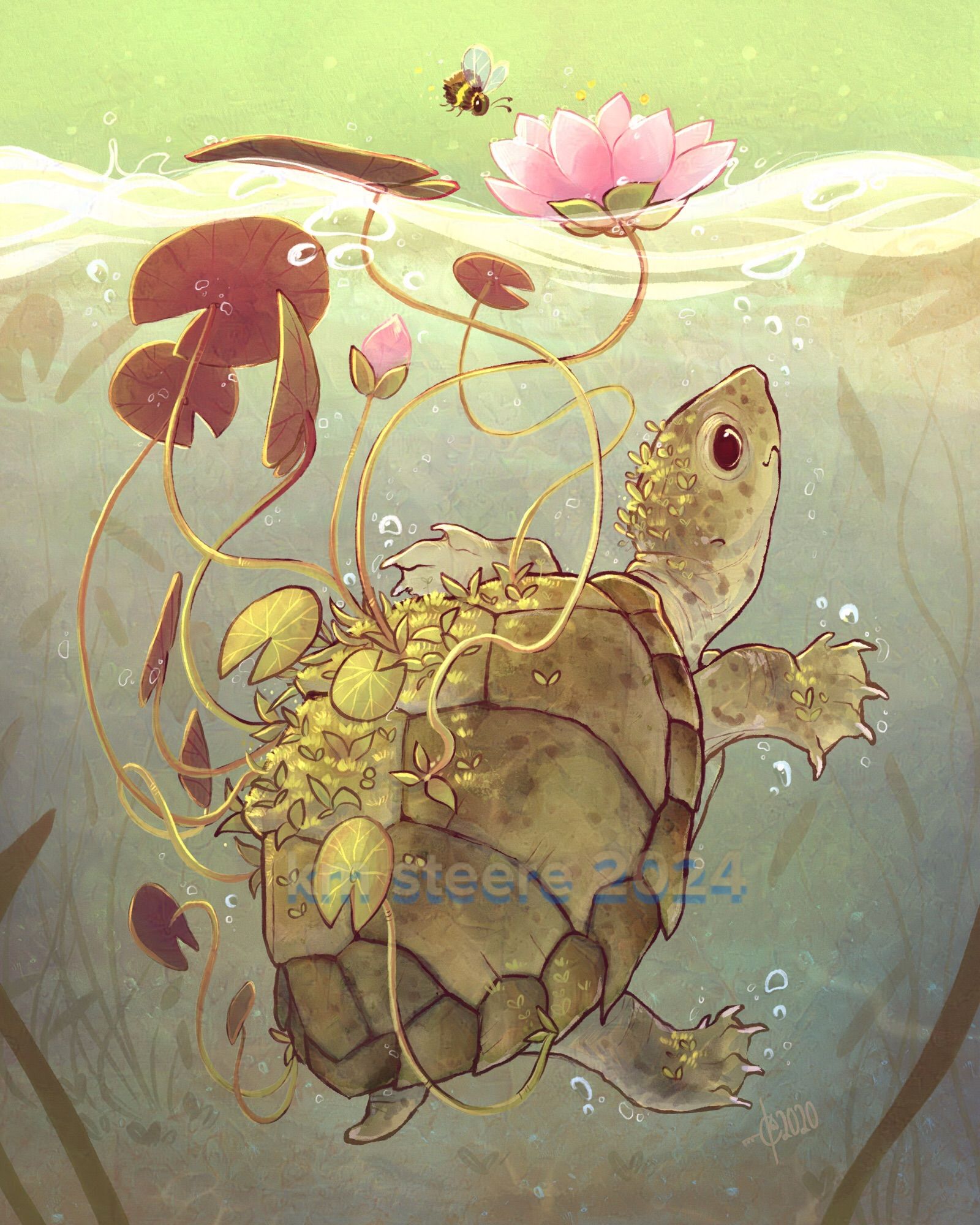 A digital illustration of a turtle submerged under murky pond water. There are water lily plants all around it and growing out of its mossy shell. There are pink flowers above the turtle on the water’s surface.