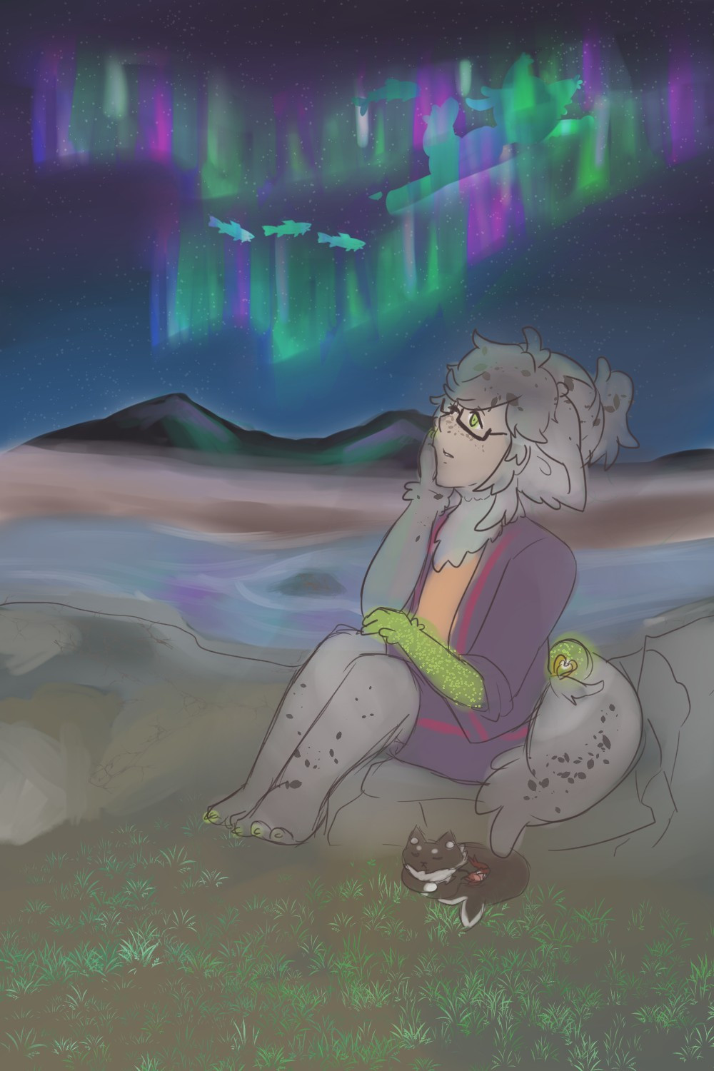 Harper looking up at an aurora borealis, which has the shape of a Sealomimi swimming with fish within it. Harper has his pet purrmaid with him. 