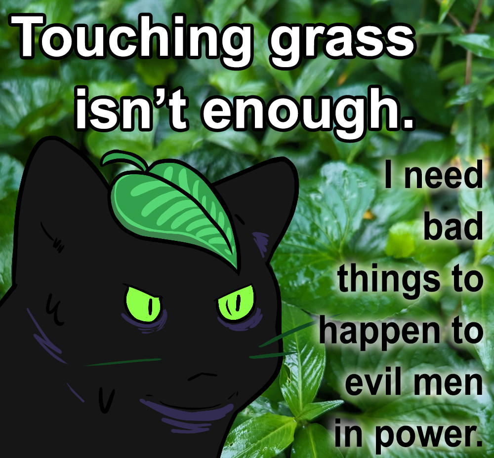 Touching grass isn't enough 

I need bad things to happen to evil men in power