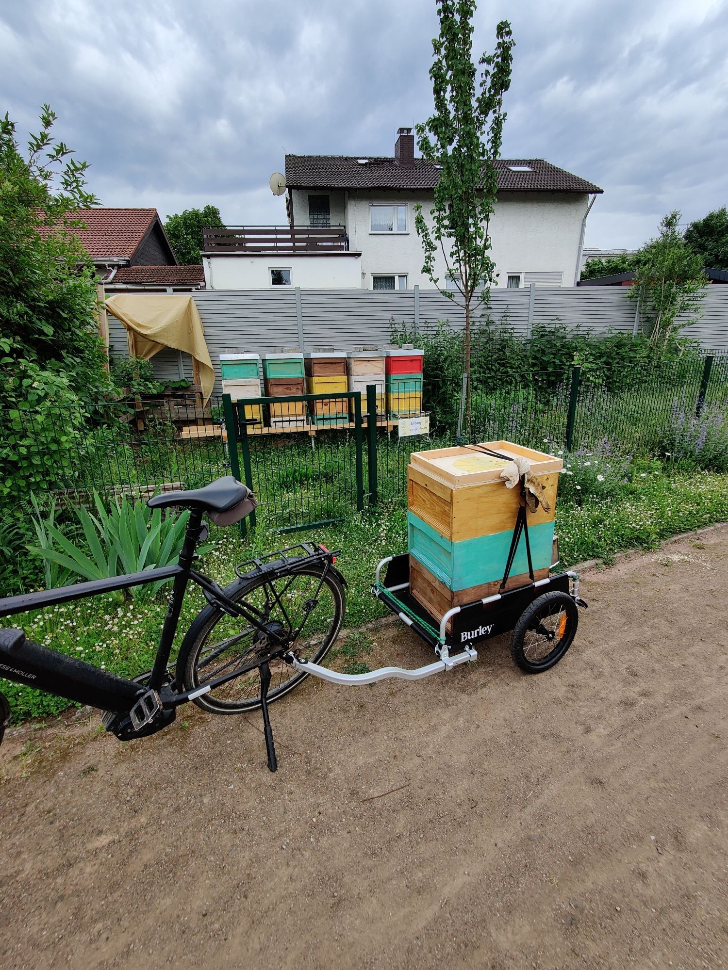 Fahrrad mit Anhänger voll Imkerzubehör und Bienenbeuten im Hintergrund