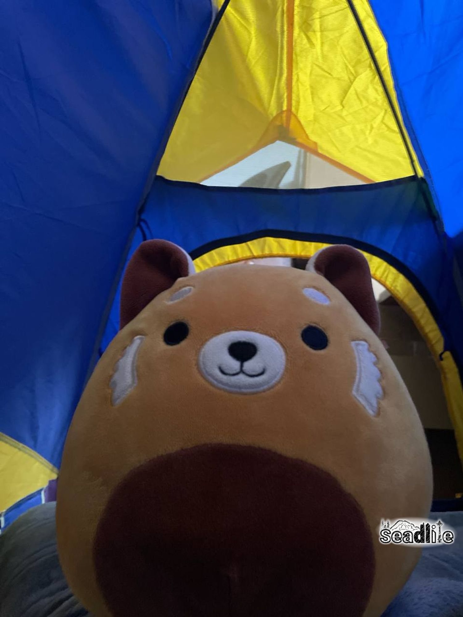 A red panda Squishmallow inside of a blue and yellow children's tent