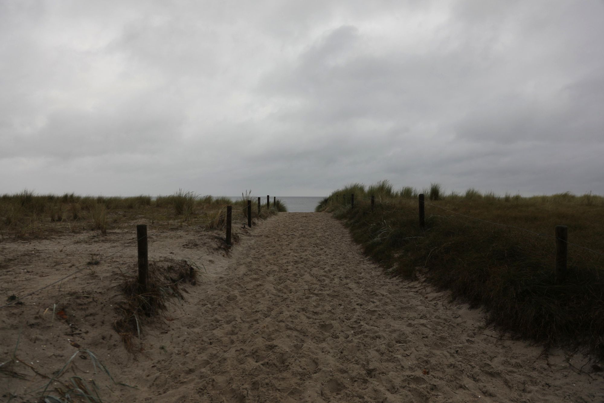 Ein Weg führt an einem trüben Tag über eine Düne zum Strand der Ostsee. ©Zacke Berlin 2024