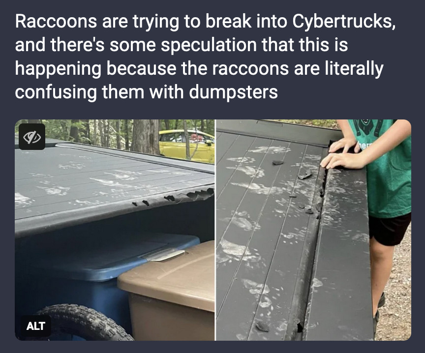 Screenshot of post:
"Raccoons are trying to break into Cybertrucks, and there's some speculation that this is happening because the raccoons are literally confusing them with dumpsters"

Images: Raccoon paw prints and chewing on tonneau cover(?) of a CyberTruck(?)