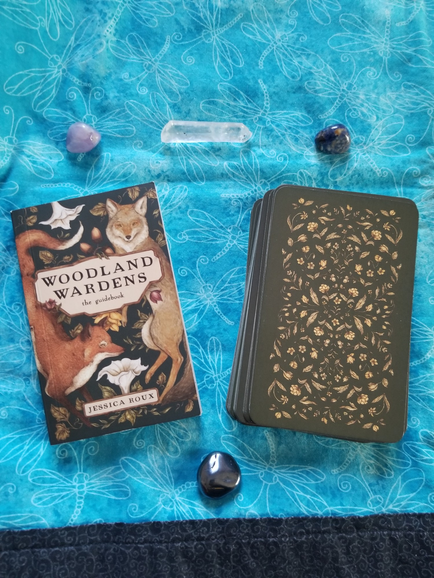 Woodland Wardens Oracle box and cards 