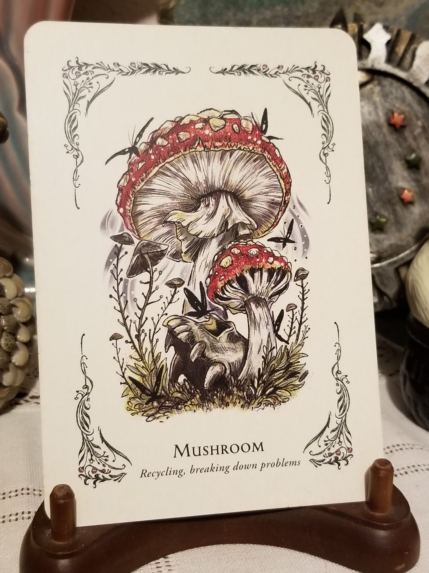 Mushrooms
Recycling, breaking down problems 

The Green Witch Oracle 