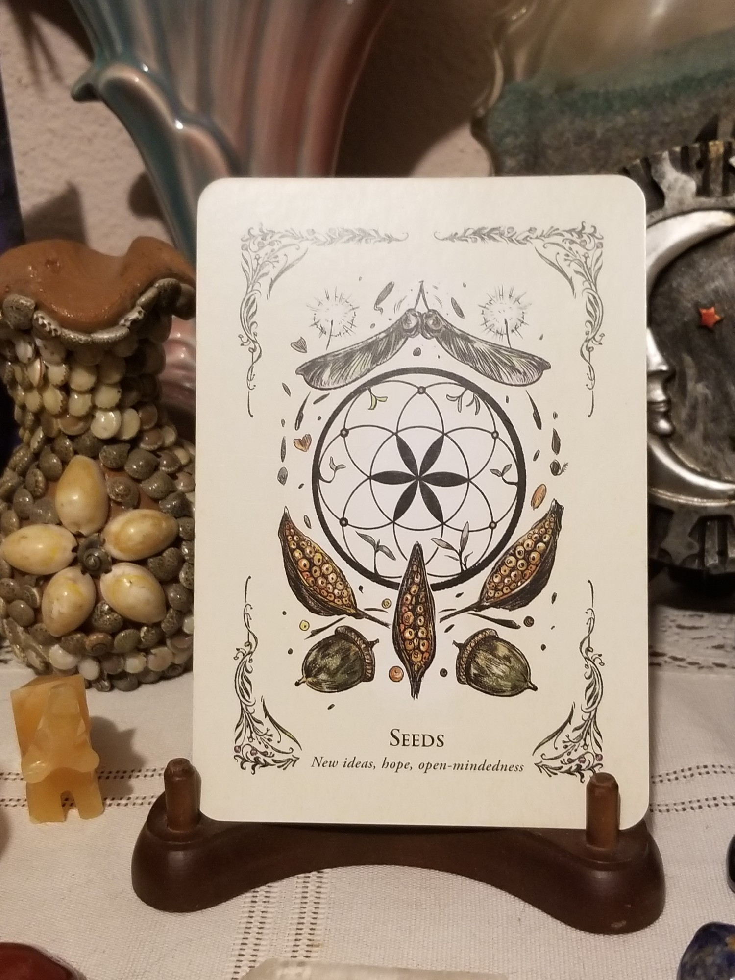 Seeds 
New ideas, hope, open-mindedness 

Card from The Green Witch Oracle 