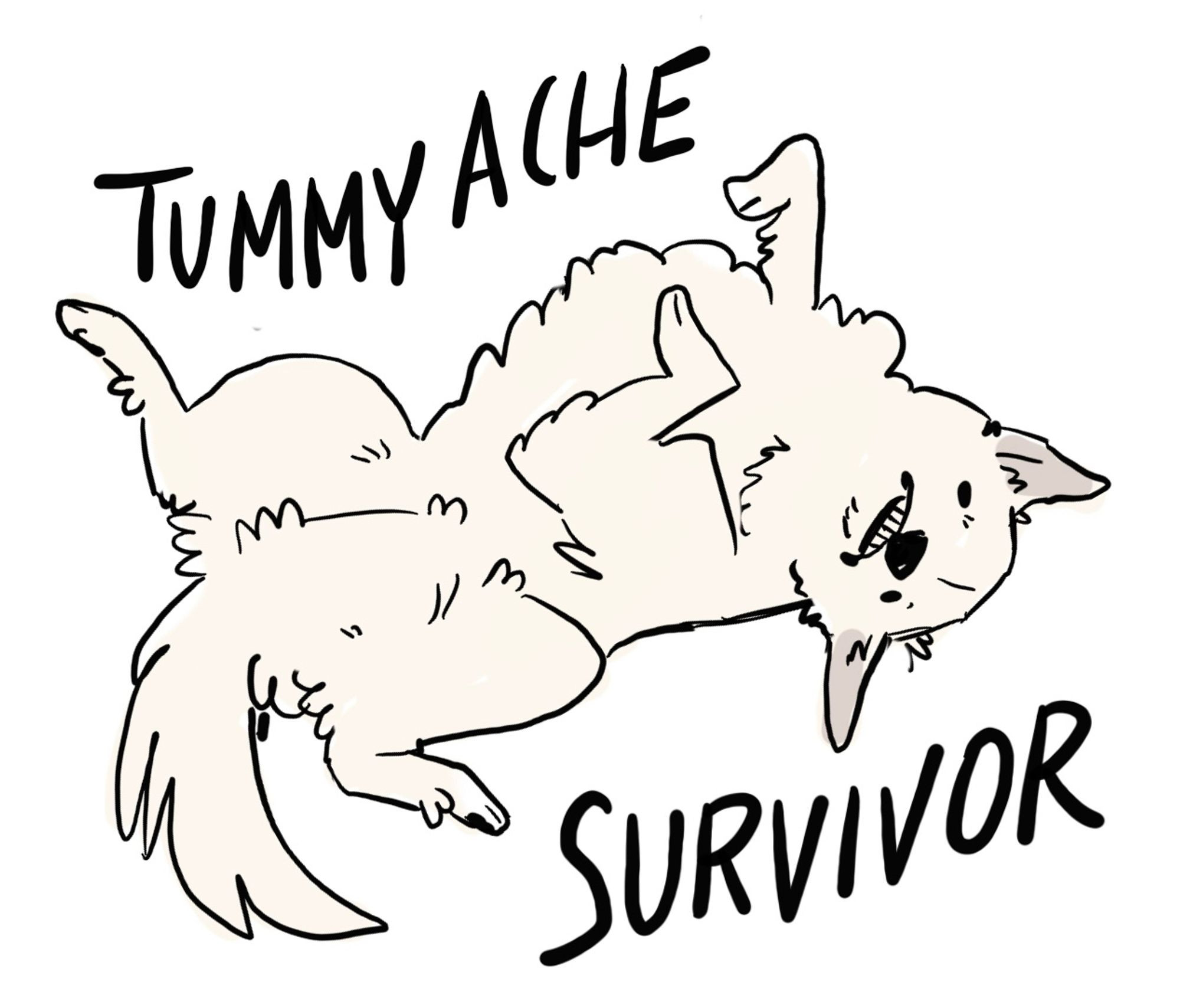 a drawing of a great pyrenees on his back, bottom teeth exposed in a cartoon grimace. text around him reads "TUMMY ACHE SURVIVOR"