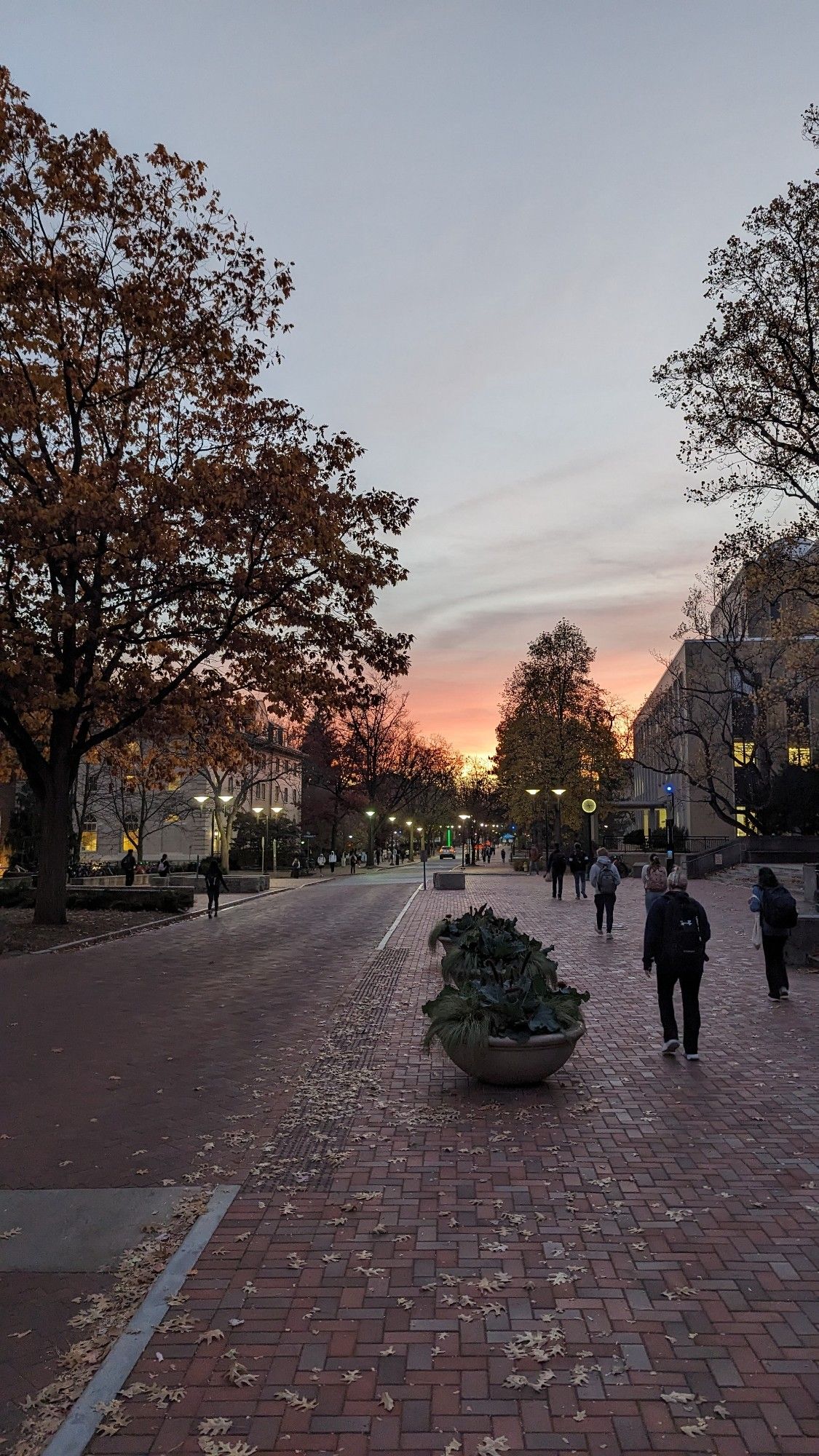 Penn State Sunset