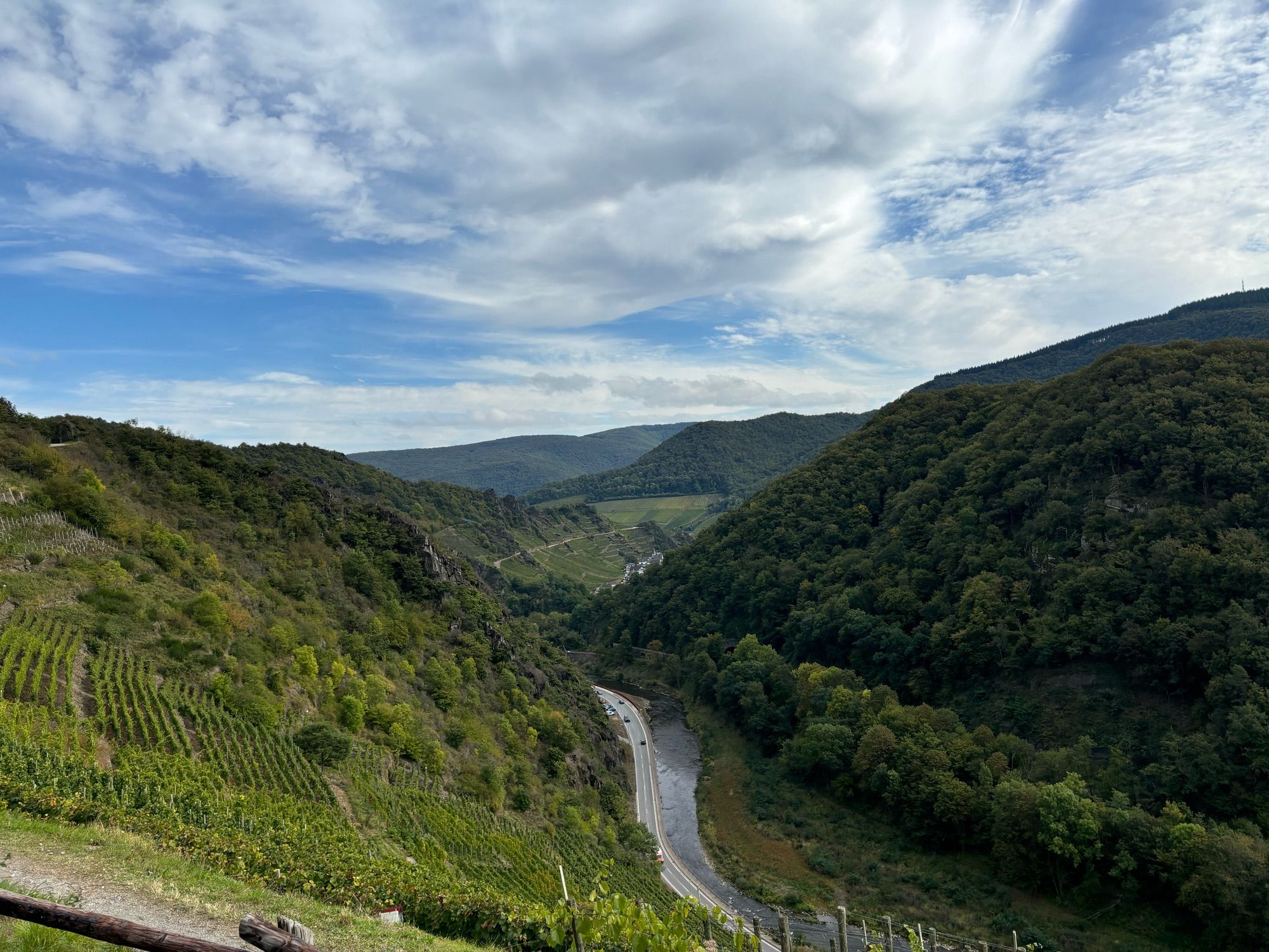 Blick auf das Ahrtal vom Weinberg aus