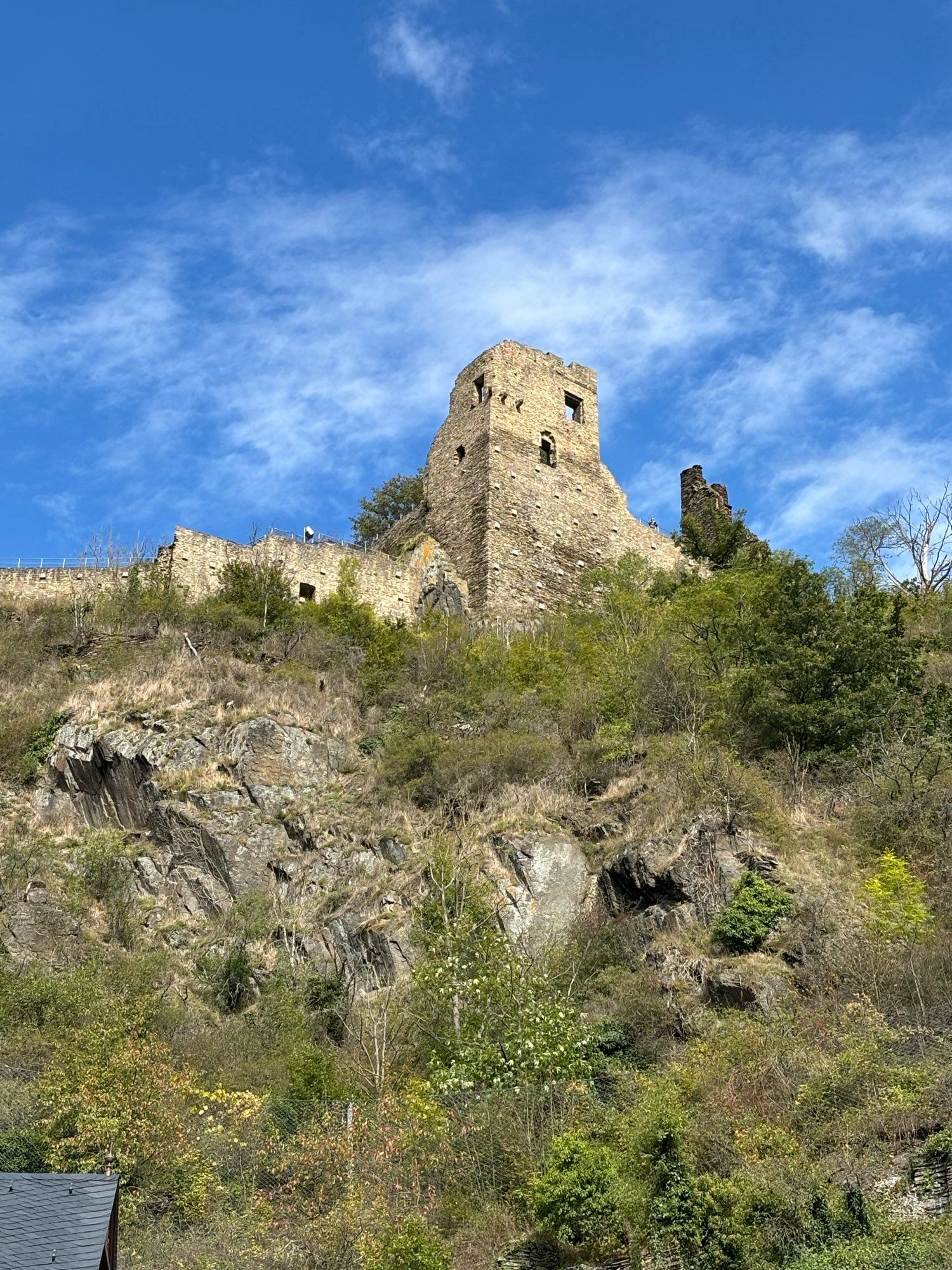 Blick vom Tal auf Burgruine