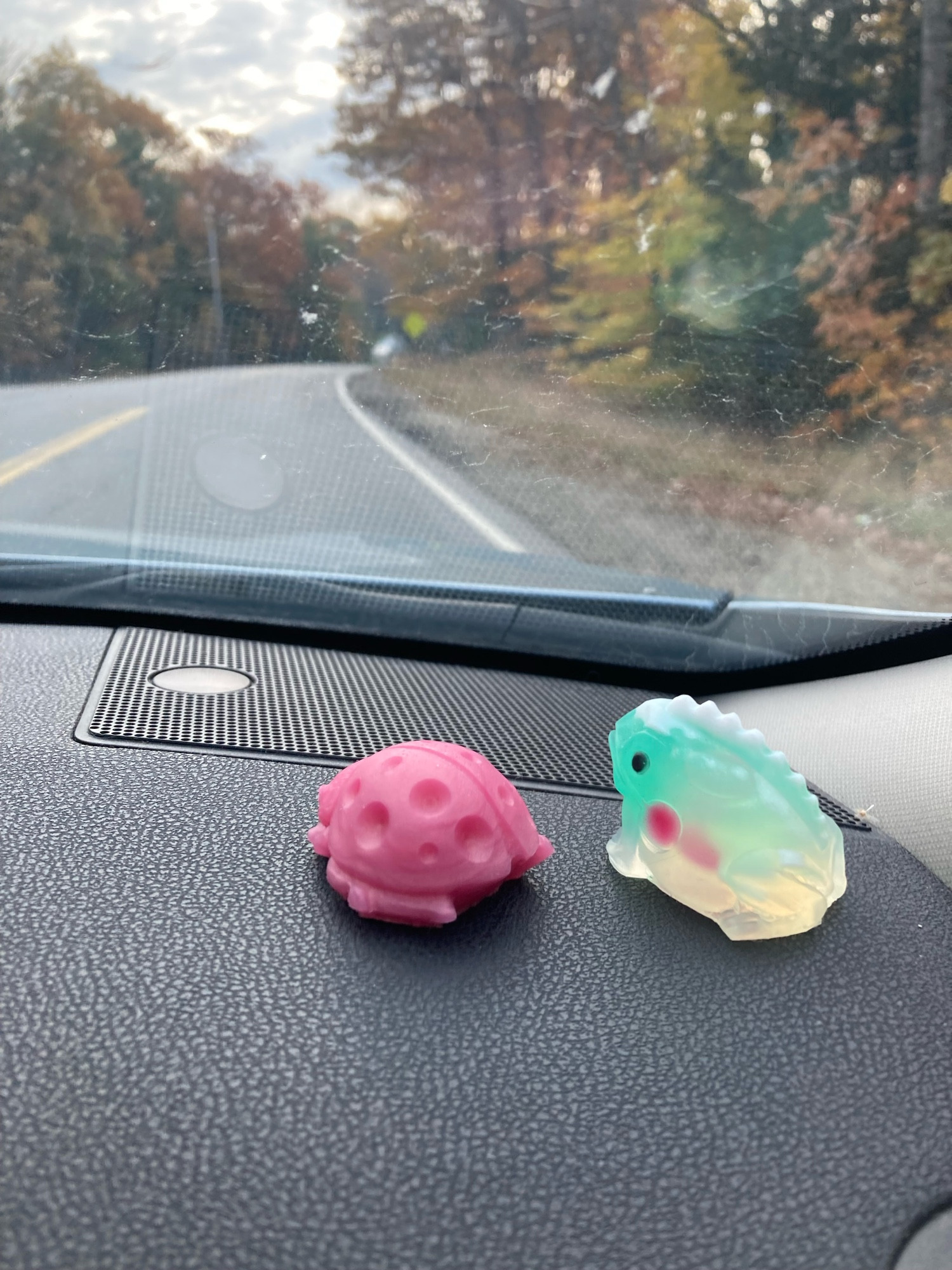 Froggy and Buggy sitting on my car dashboard, watching the world go by. Autumn leaves decorate the trees outside. Where are we going today, I wonder?