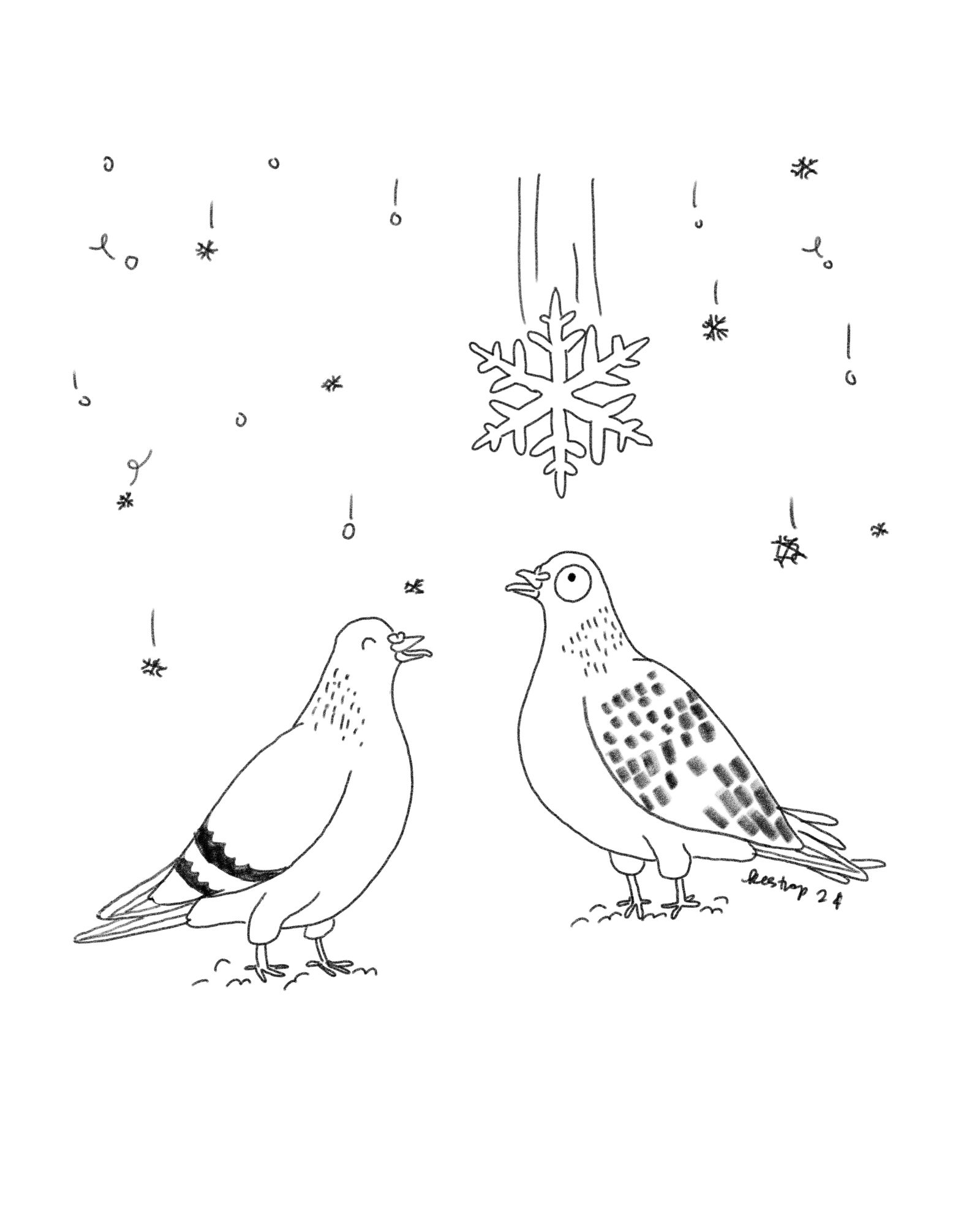 Digital sketch of two cartoony pigeons. One has his mouth open, eyes closed, and tongue out. The other has his mouth open and tongue out but eyes open, wide, and staring above him, where there is a giant realistically shaped snowflake about to drop on his head. Smaller realistically shaped and non-realistically shaped snowflakes swirl in the background