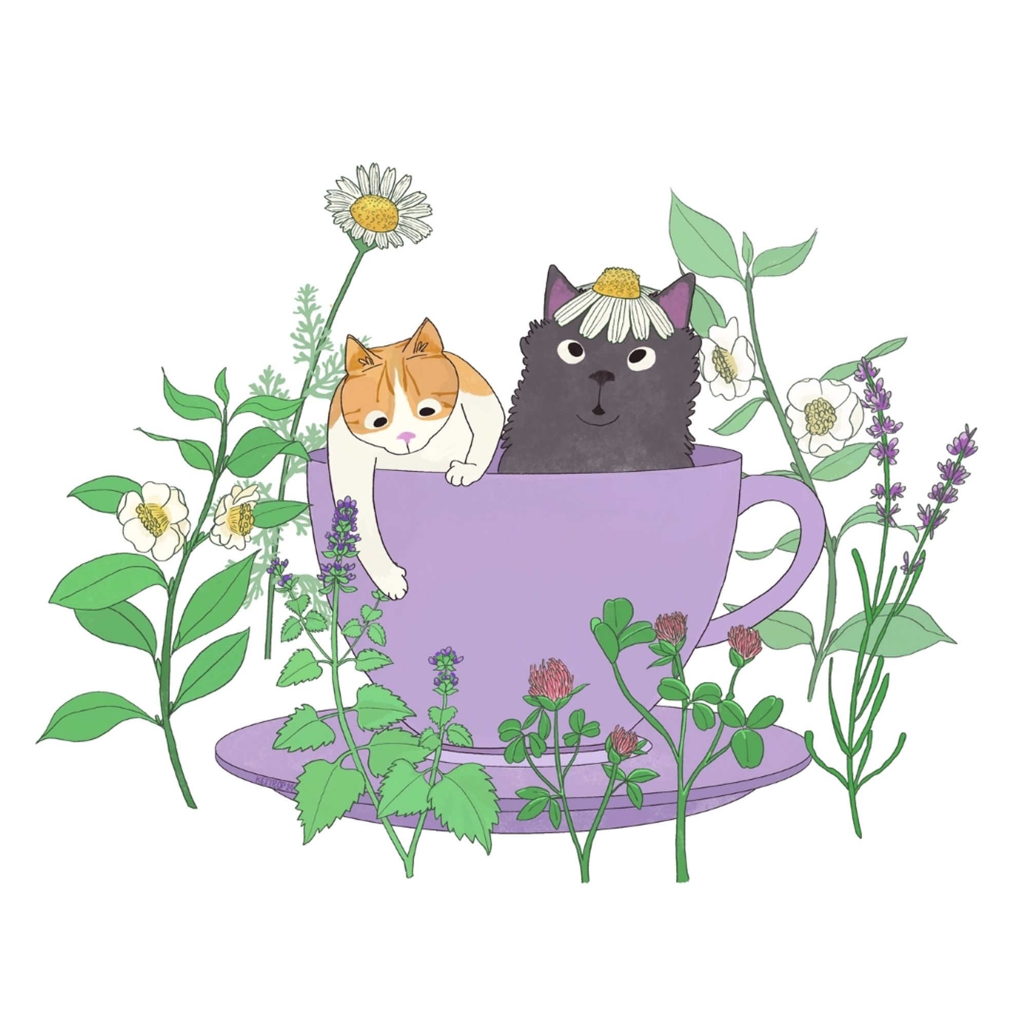 An illustration of an orange and white, and black cat sitting in a purple teacup, surrounded by plants growing around them. The black cat has a white chamomile flower on her head.