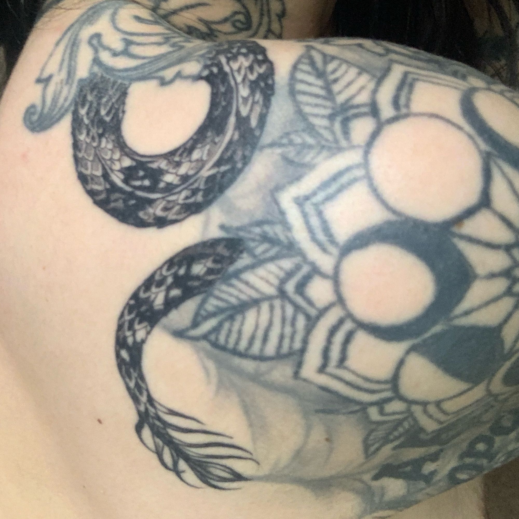 A shit photo of the back of my shoulder taken at a shit angle with a shit phone camera, by myself… but it shows the spider tail & keeled scale detail in the back portion of the tattoo, and also just how shit the unfinished top section of my right sleeve is 😂