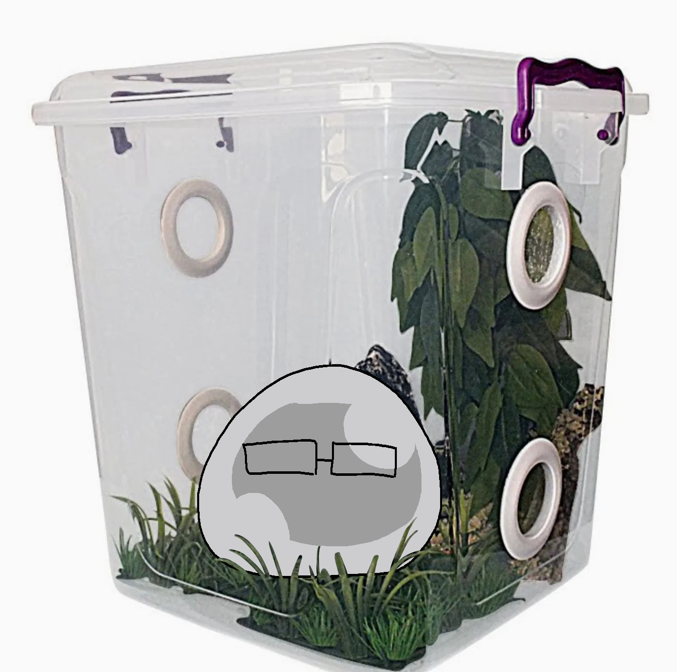 Blob Narrator in the center of a plastic container with fake grass and plants within with breathing holes on the side.