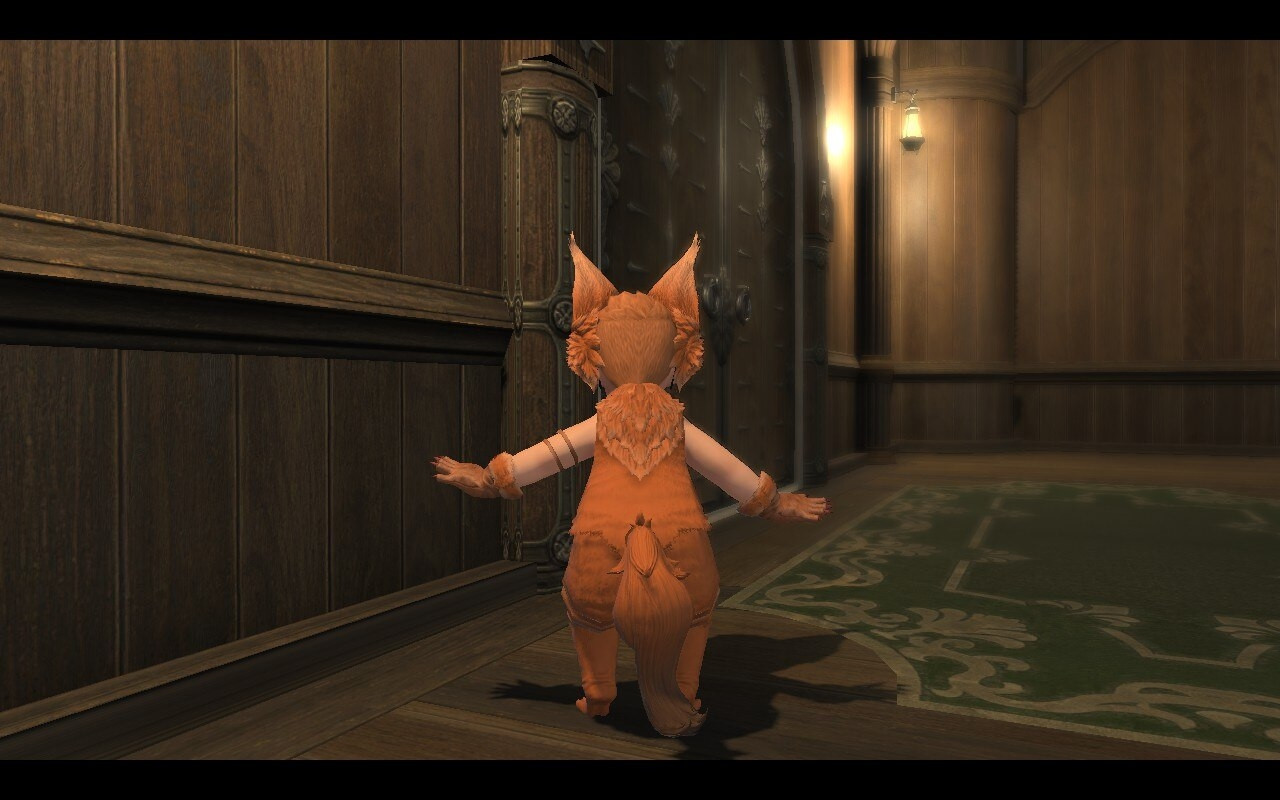 Photo of the back of my final fantasy character. I am a lil orange werewolf/puppygirl