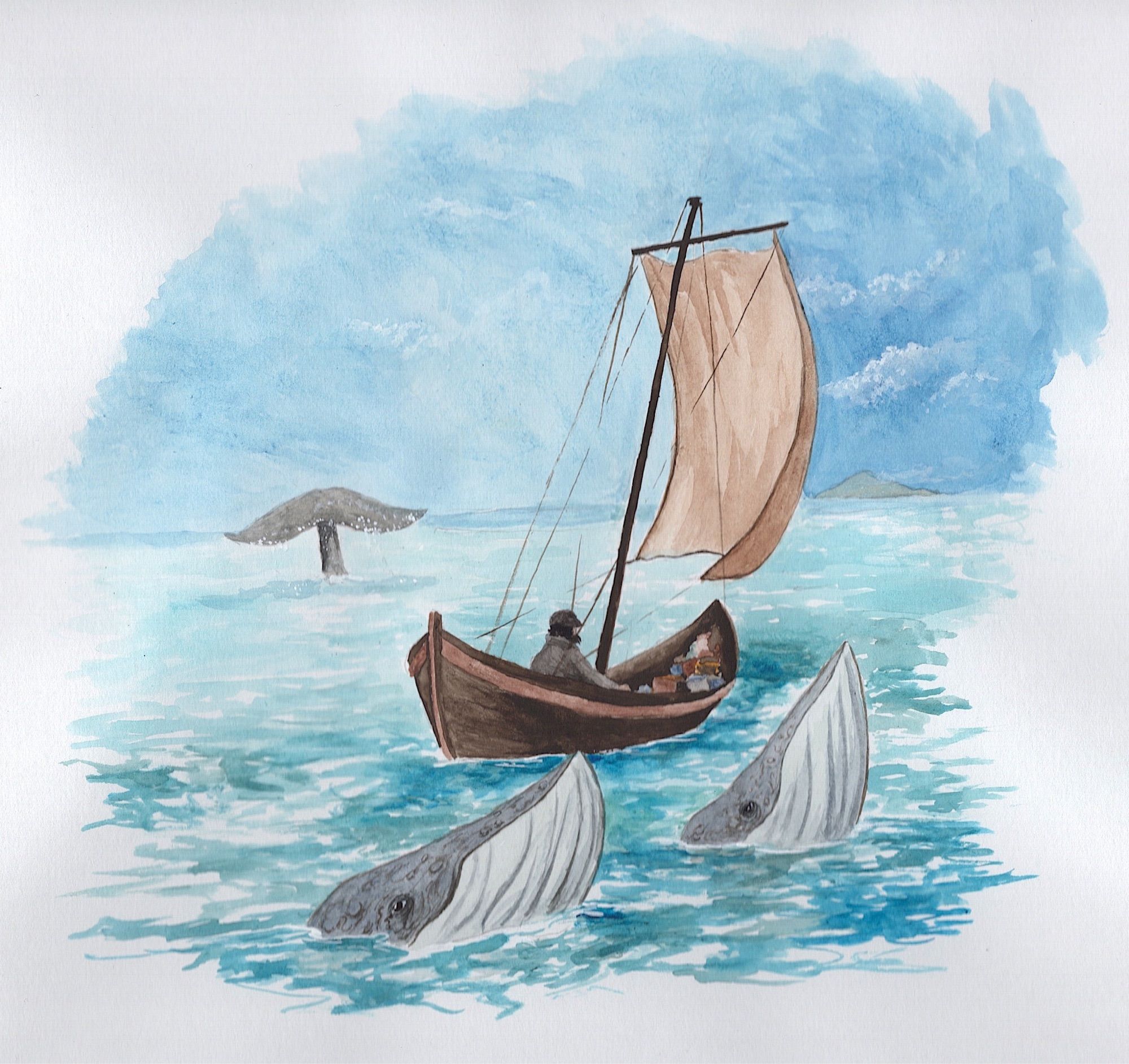 Whales accompany a traveler on a small sailboat.