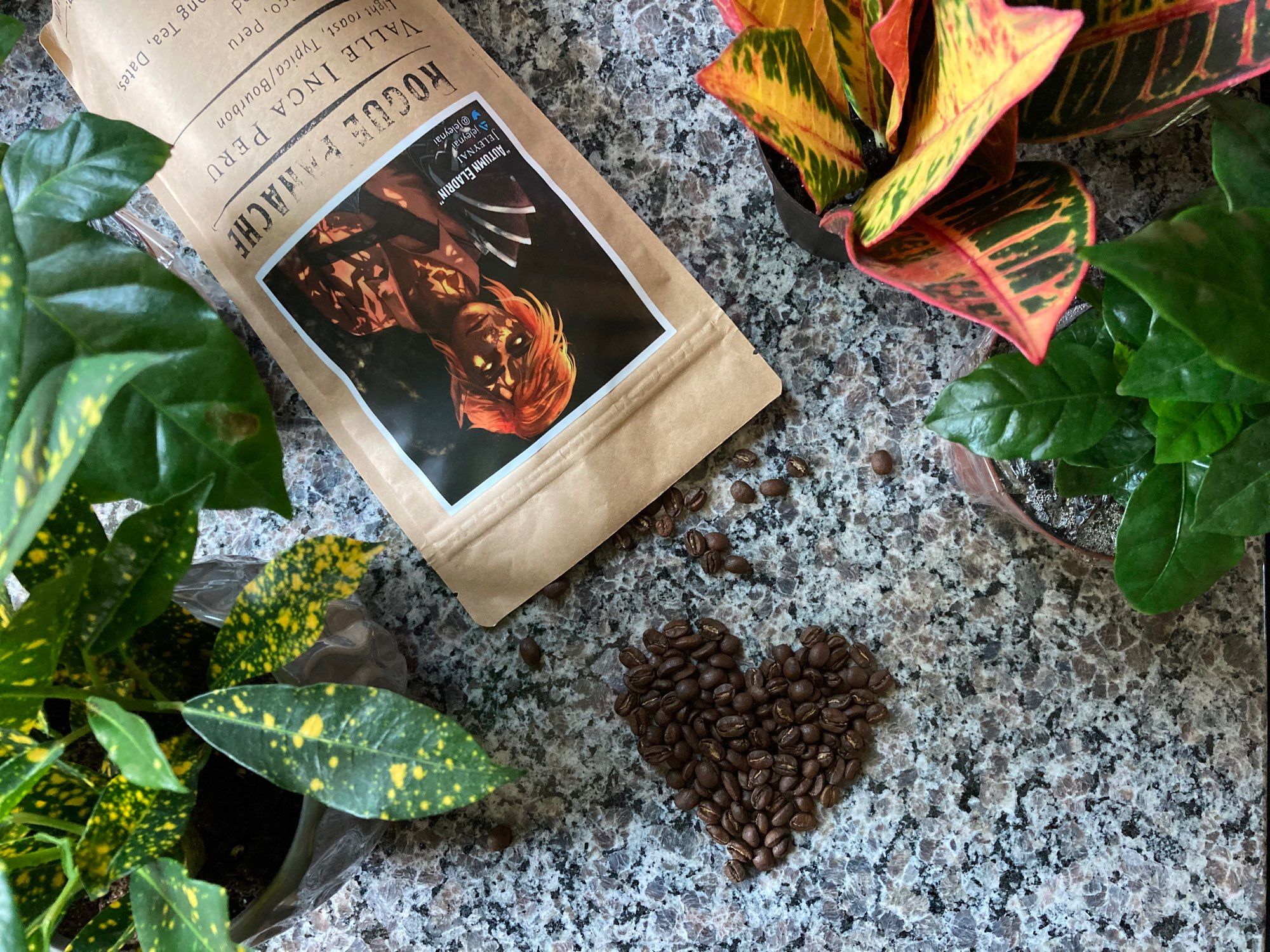 A bag of Found Familiar Coffee titled “Rogue panache” lies on a marble surface, framed by plants. Roasted coffee has been spilled from the bag in the shape of a heart. The bag is adorned with art of an elf woman by Jelynai.