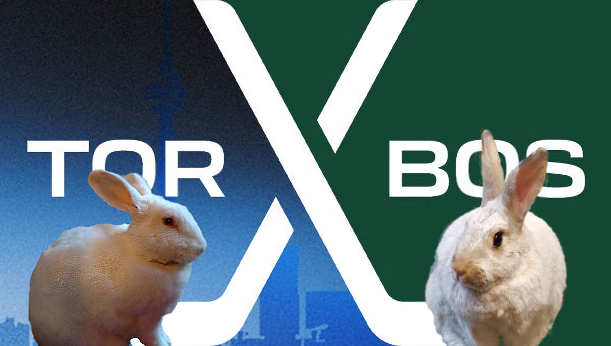 A picture of two rabbits. The one on the left is pure white with pink eyes, with TOR in text behind her. On the right is a mostly white rabbit with a smudge of brown on his nose and slightly darker ears. He has BOS behind him. Between them is the hockey sticks logo from the PWHL.