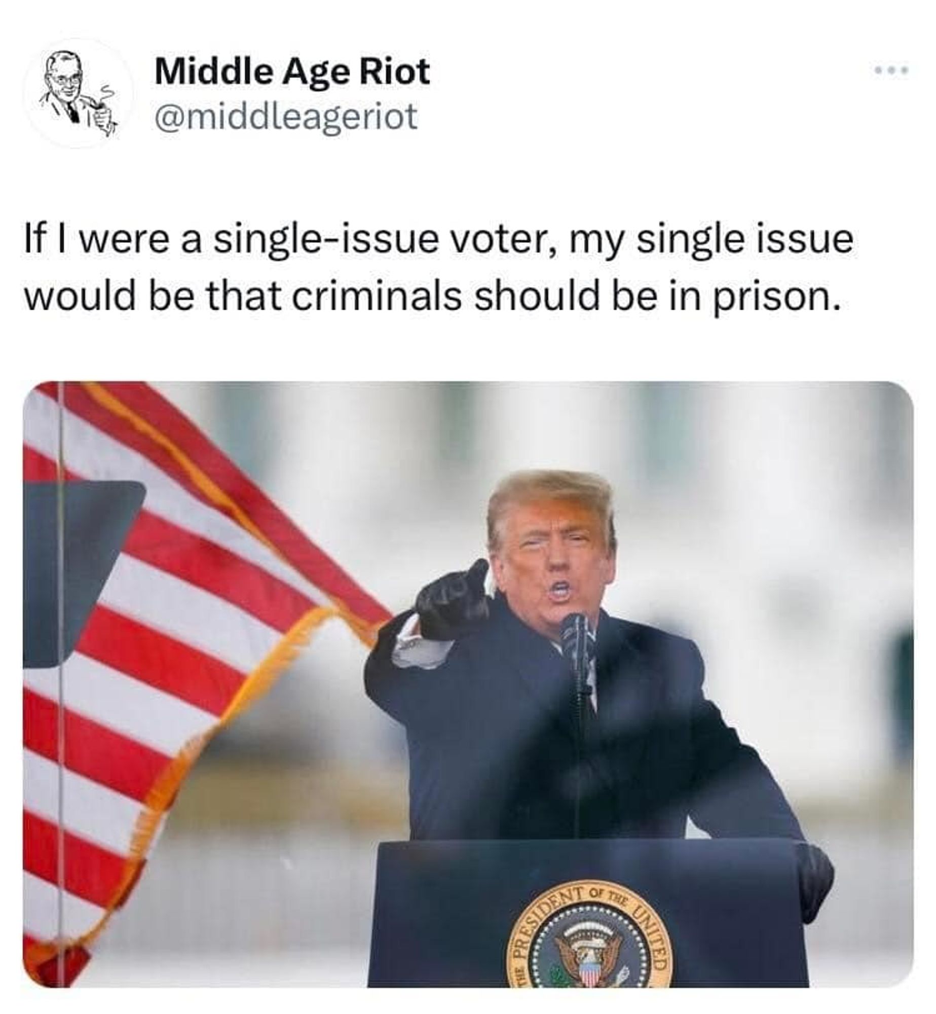 Political Meme about Trump: "If I were a single-issue voter, my single issue would be that criminals should be in prison."