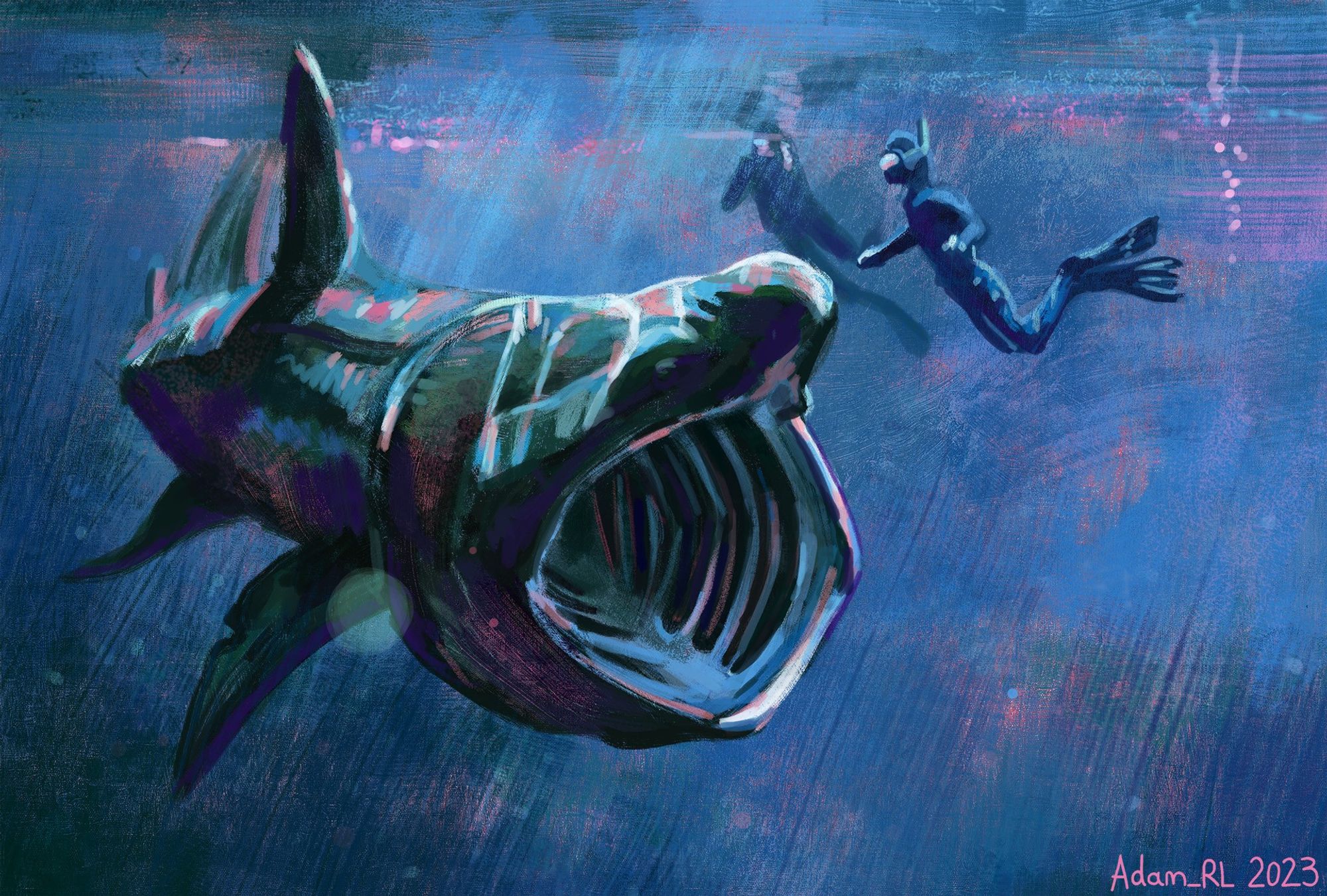 A vibrant, stylised study (digital painting) of a Basking shark swimming alongside 2 divers in the open ocean. The perspective emphasises the animal's large size (up to 8m long) with the shark facing towards the camera. The divers almost blend into the background. Flashes of pink bleed through in the background and also appear as streaks on the shark, emphasising areas where light is reflected.