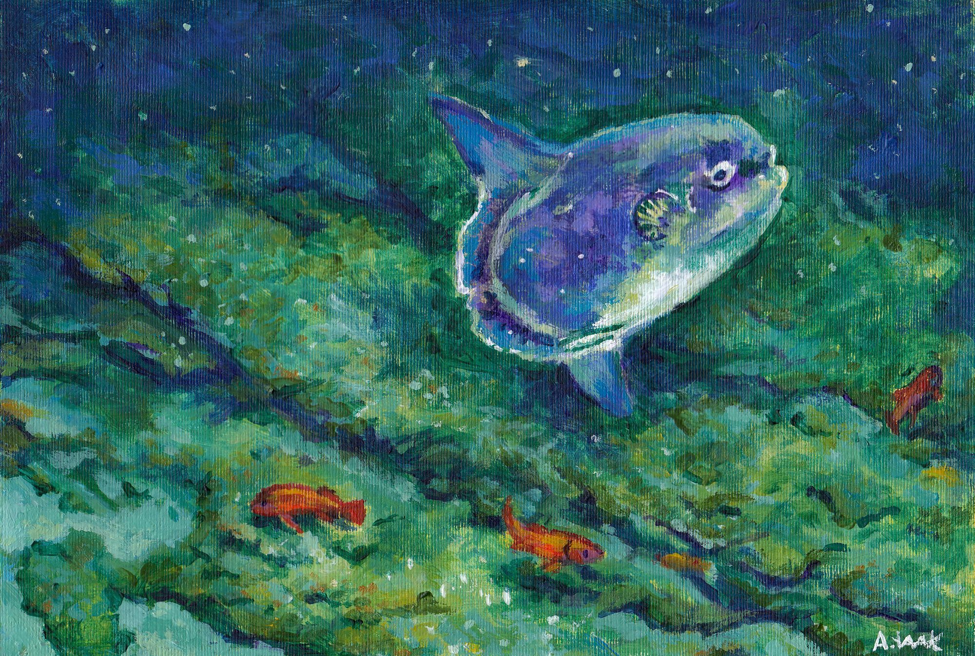 An acrylic painting of a medium-sized (not fully-grown) Ocean Sunfish (Mola mola) swimming (or drifting) close to a reef among a few other fishes (bright orange in colour) which it dwarfs in comparison. The blue tint of the ocean makes the beige colour of the oddly-shaped Sunfish appear almost purple, with a yellowish-white underside. The edge of the rocky reef appears green in colour with hints of yellow. It fades into a deep, dark blue at the top of the painting, where it is further away from the viewer. Particles of snow-like ocean detritus can be seen in the foreground.