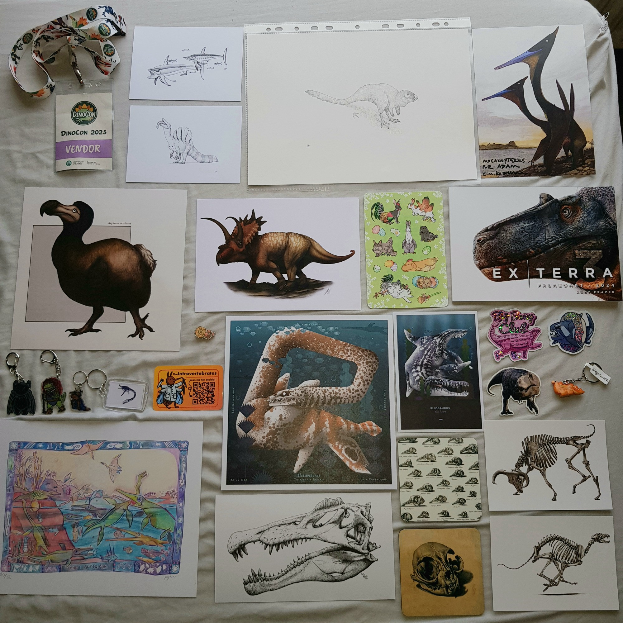 From left to right: Dinocon Vendor badge; postcards and original drawing by Ivan Kay; Moganopterus print by CM Kosemen; Dodo and Anchiceratops by KakapoJay; sticker sheet by Jay Eaton; Ex Terra 3 (book) by DragonsOfWales/ Andy Frazer; keychains by AugustJosephCo; plesiosaur keychain gifted by RoAR board game; ammonite pin by the Introvertebrates; Marine reptile prints by EmilyHiggsArt; Ankylosaurus and Dunkleosteus stickers by SpeedThief; T-Rex sticker by SketchyRaptor; Stegosaur keychain by WightCoastFossils; Duria Antiquior by Phoebe Ginger; Spinosaurus Skull by  Nathan Dehaut; Skeleton coasters and postcards by Katrina Van Grouw