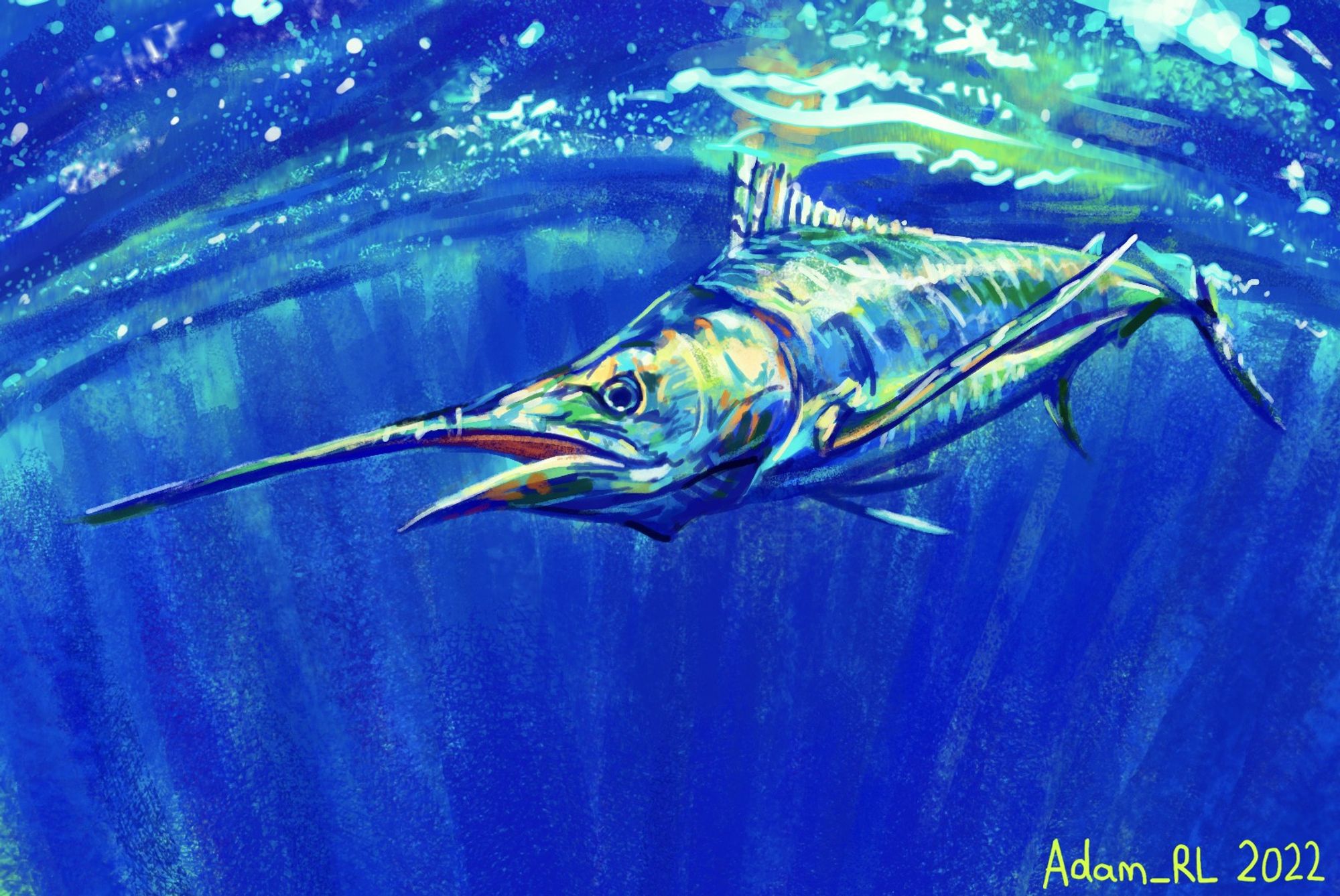 A vibrant and stylised study (digital painting) of a blue marlin. Blue Marlin are members of the billfish family which are some of the fastest fish in the ocean (characterised by their long spear-like rostra/ bills). They can reach up to 5 meters in length, and it seems that it is only the female individuals rather than males that are able to reach these records. Blue marlin are considered a 'vulnerable' species by the IUCN due to overfishing. The painting is  dominated by a deep blue, however, luminous patches of yellow, green and orange are used in contrast, to convey the metallic sheen of the fishes' skin.