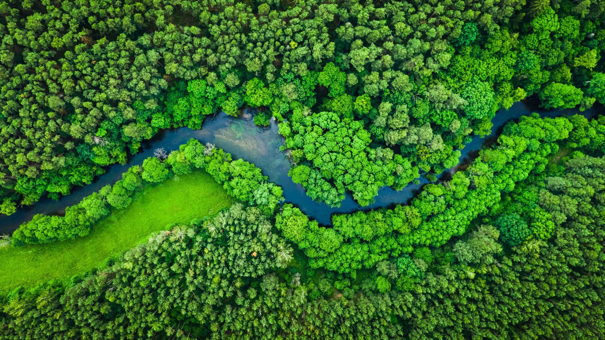 A photo of an aerial view of a green forest with a river flowing through it