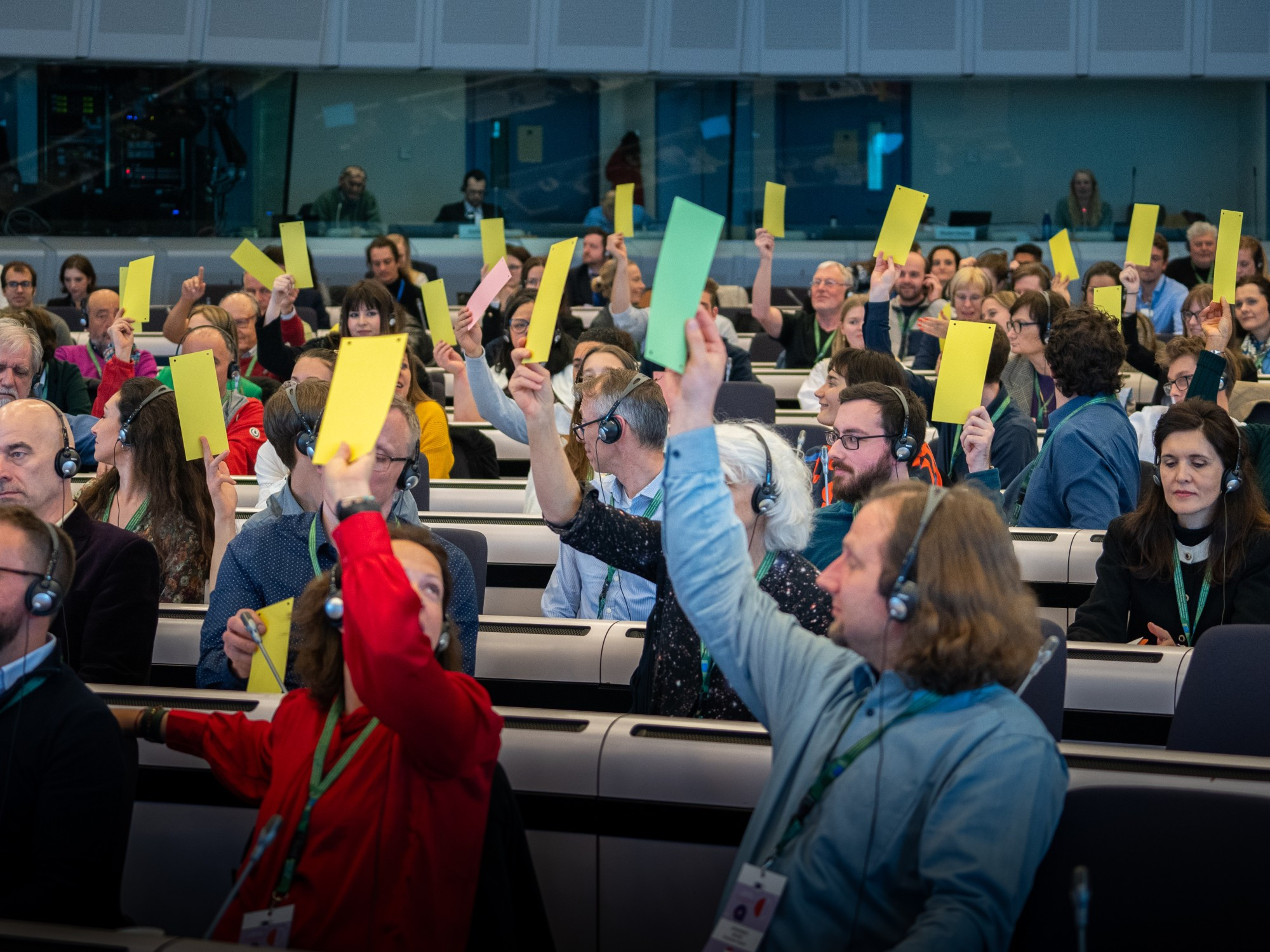 A photo with a group of people holding and waving colour-coded papers as they express a vote.