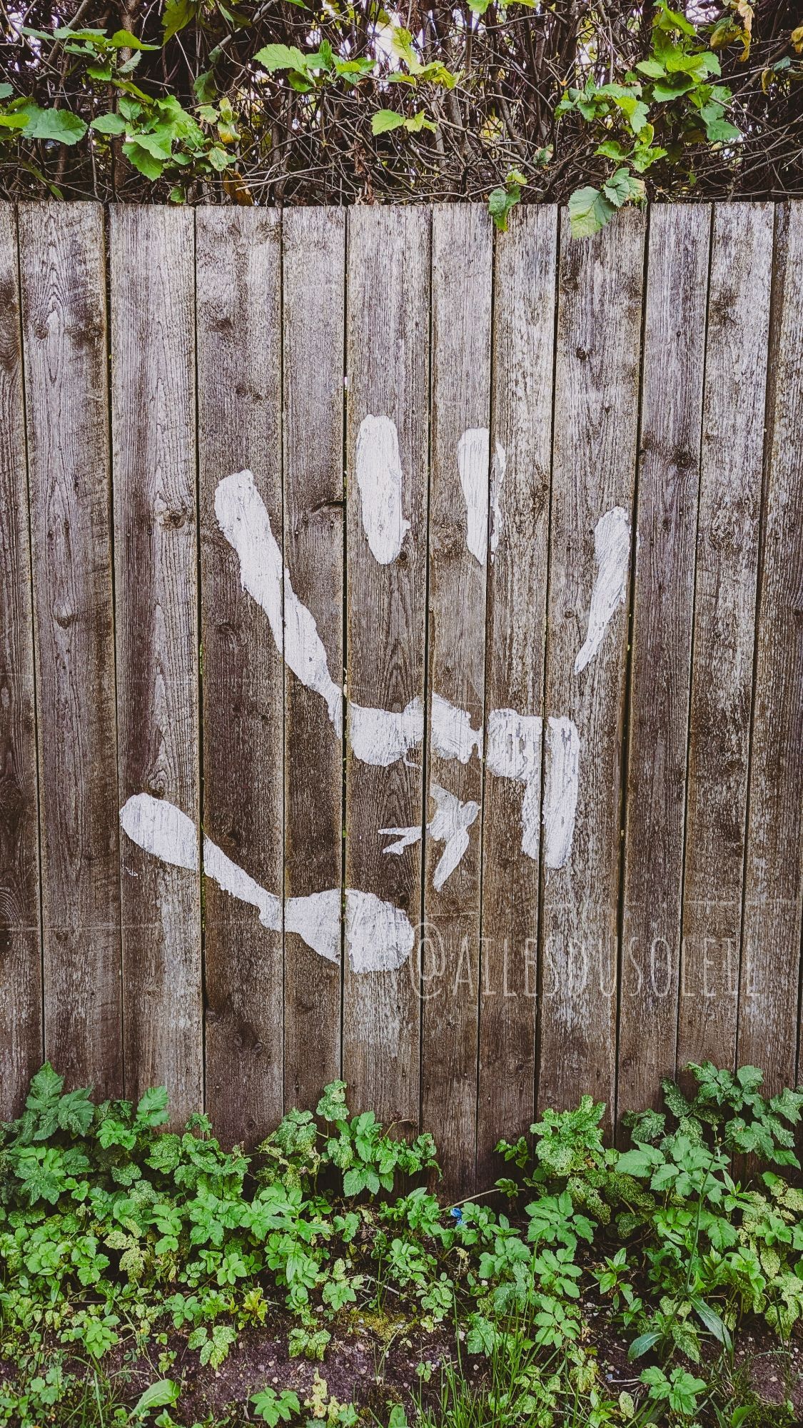 Photo of a large white painted handprint on a wooden fence