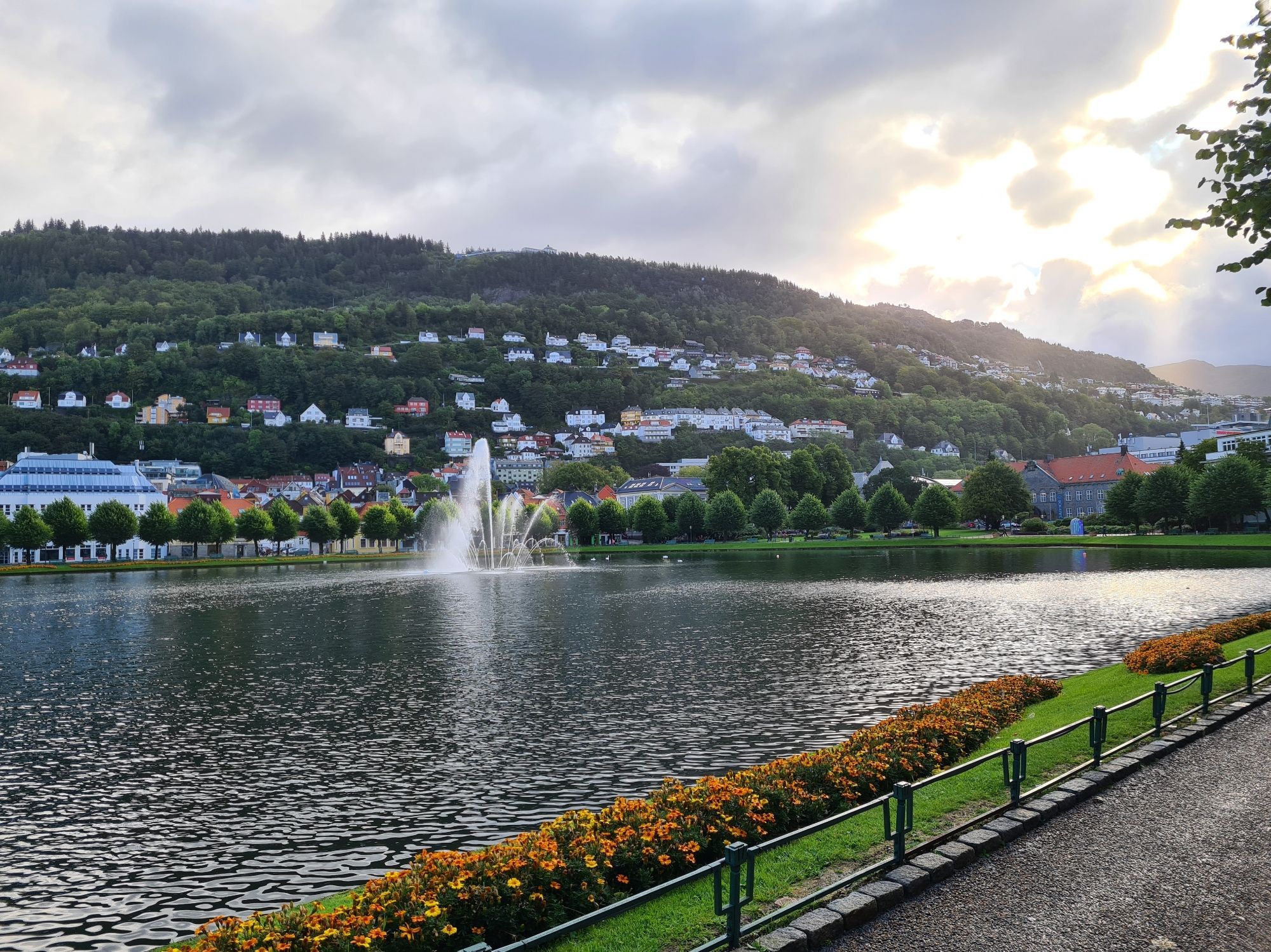 The lake Lille Lungegårdsvann in Bergen, a semi-sunny morning. Flowers, hills, and colourful houses.