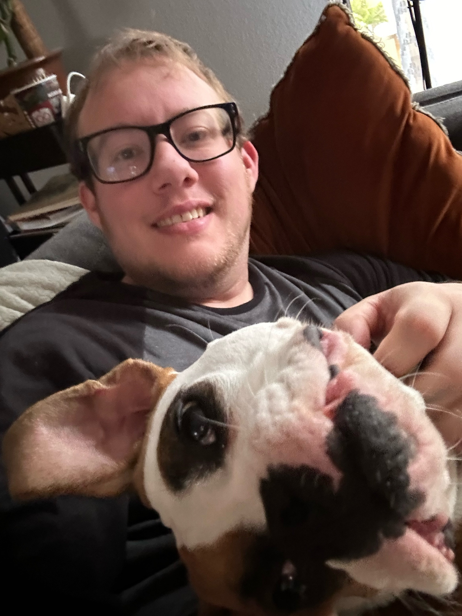 Selfie of me (white guy, short brown hair, black rimmed glasses, stubble, black and grey baseball shirt), petting my previous foster dog Sugar, a white-and-brown boxer, who is laying upside down with a floppy ear and jowls.