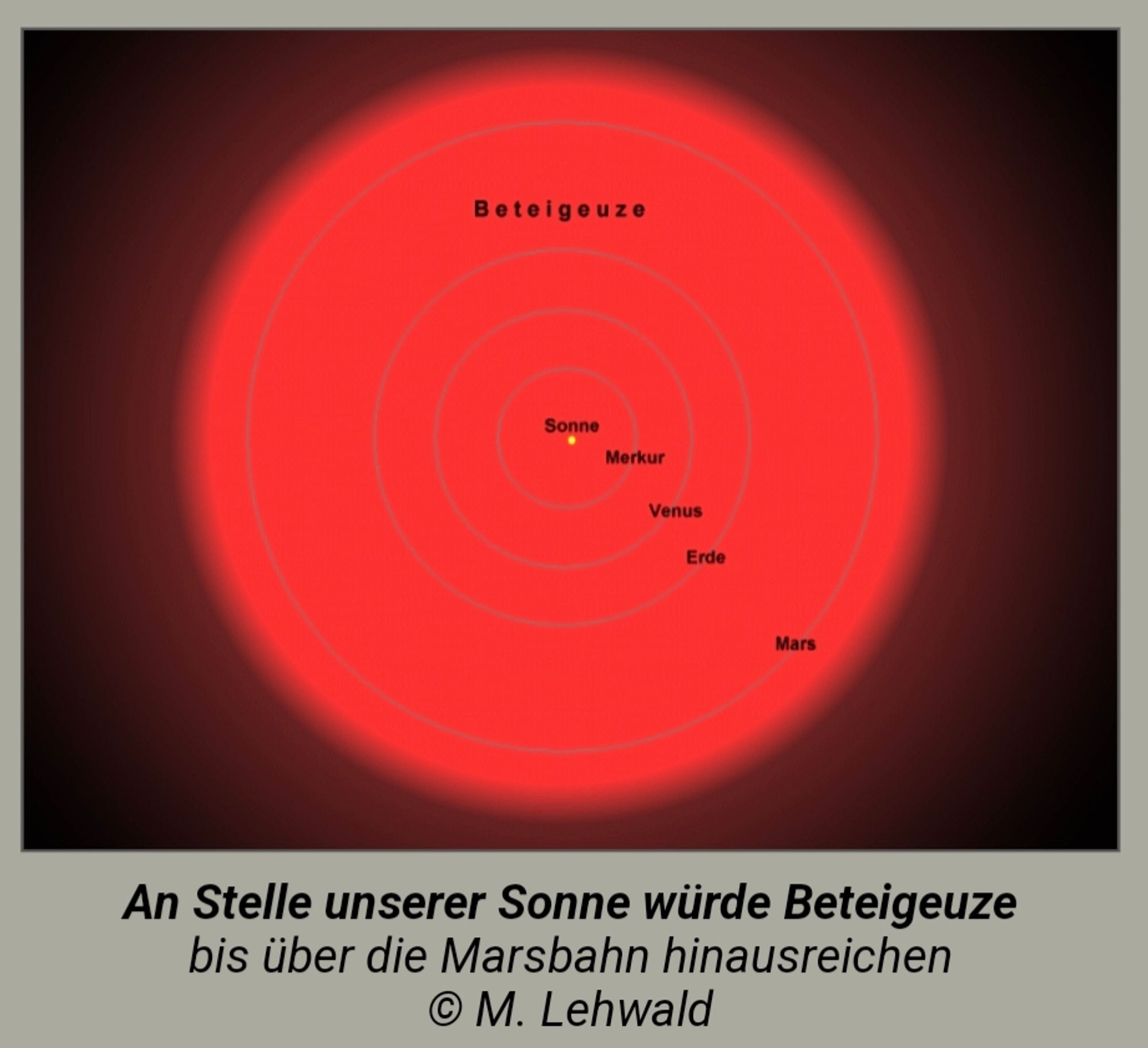 Ein Bild von Beteigeuze, der in unserem Sonnensystem bis über die Marsbahn hinausreichen würde. Die Sonne ist in der Mitte als winziger Fleck zu sehen. Außen herum die Umalufbahnen von Merkur, Venus, Erde und Mars. Alle noch innerhalb des Volumens von Beteigeuze.