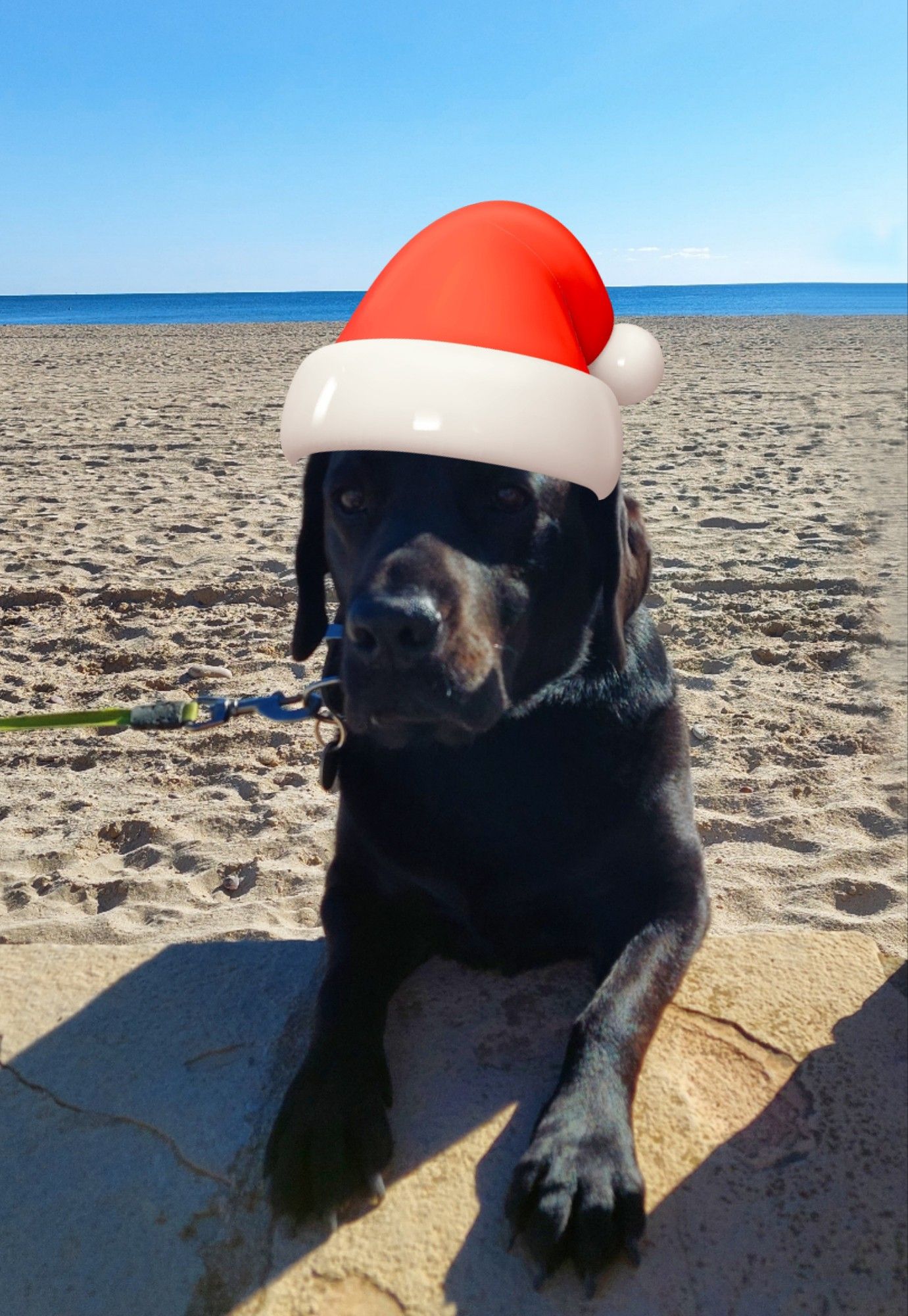 Oberkörper eines schwarzen Labradors der halb auf einer Mauer am Strand steht und der auf dem Foto eine Weihnachtsmannmütze auf hat. Im Hintergrund Strand, Meer und blauer Himmel