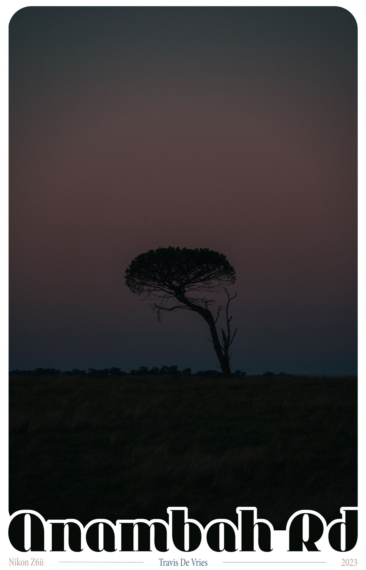 Poster of a Tree on a hill at sunset 
The words Anambah Rd in rounded font at the bottom 