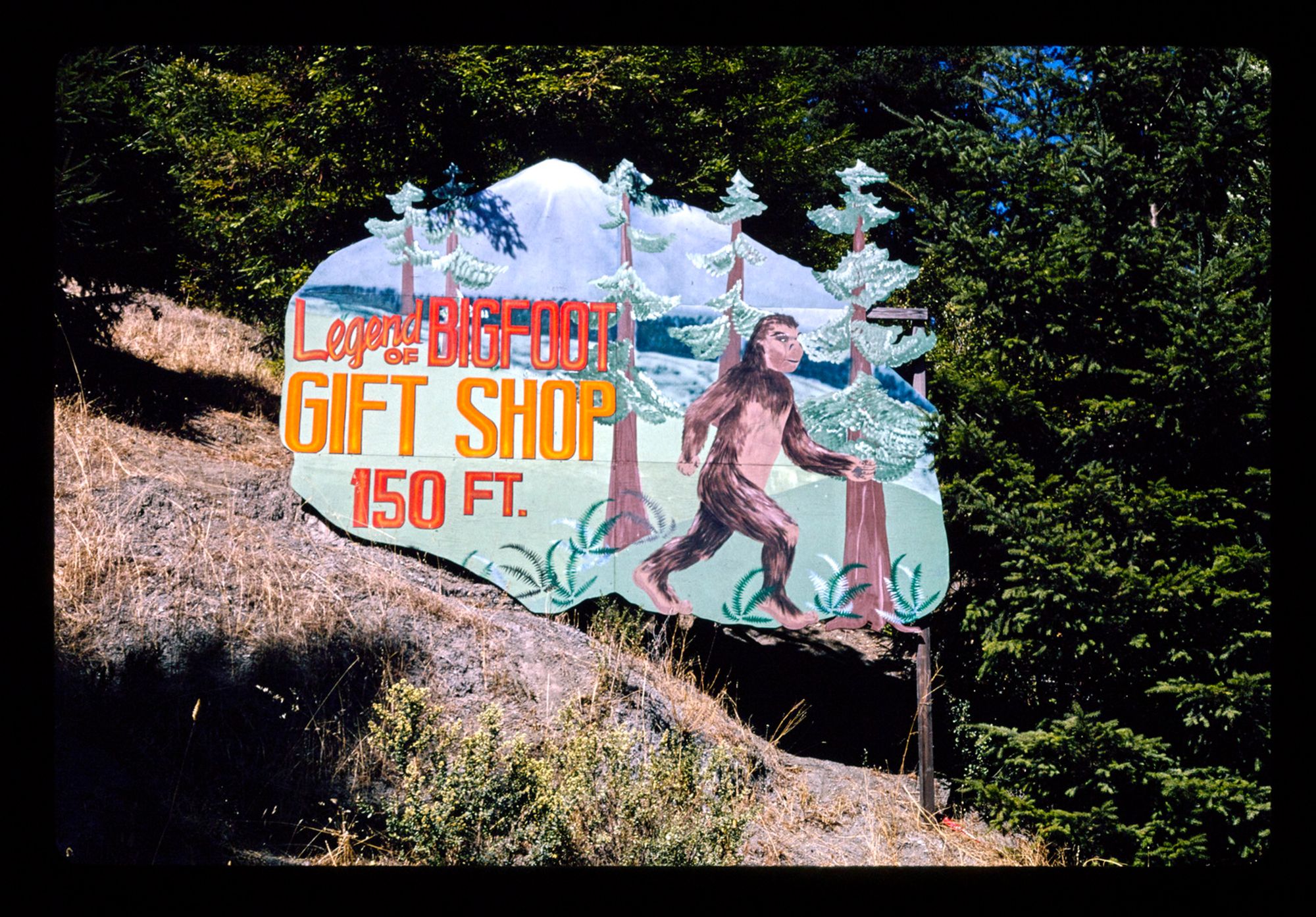 legend of big foot gift shop sign, route 101, garberville, california, 1991