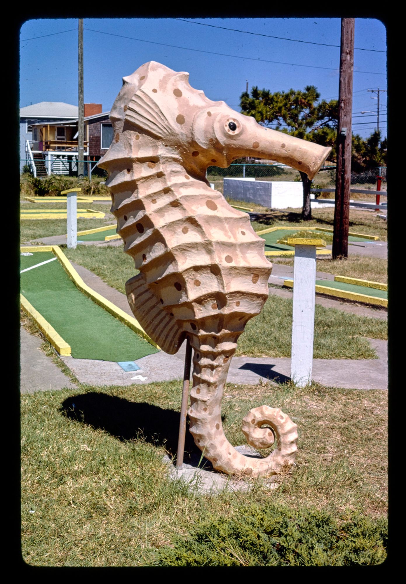 seahorse, forbes carpet golf, nags head, north carolina, 1985